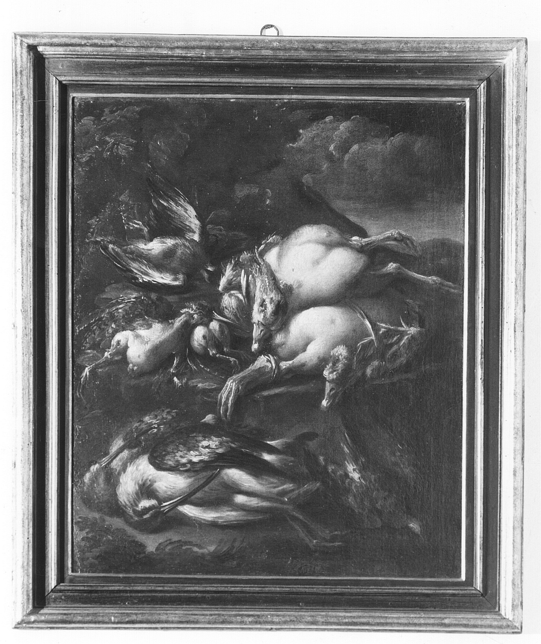 natura morta con cacciagione (dipinto) di Boselli Felice (primo quarto sec. XVIII)