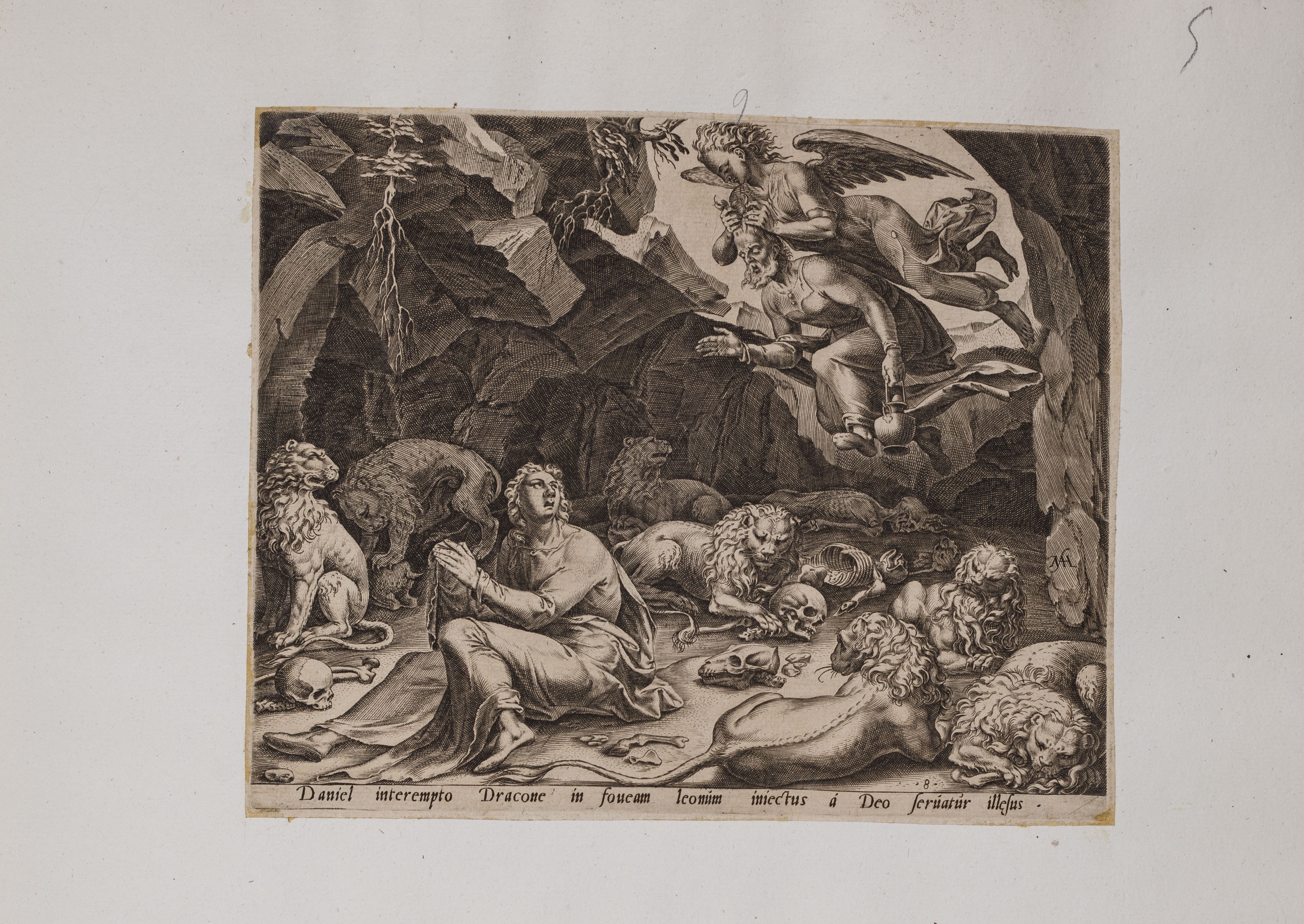 Abacuc porta il cibo a Daniele (stampa controfondata smarginata, serie) di Heemskerck Marten van, Galle Philips (attribuito) (seconda metà XVI)