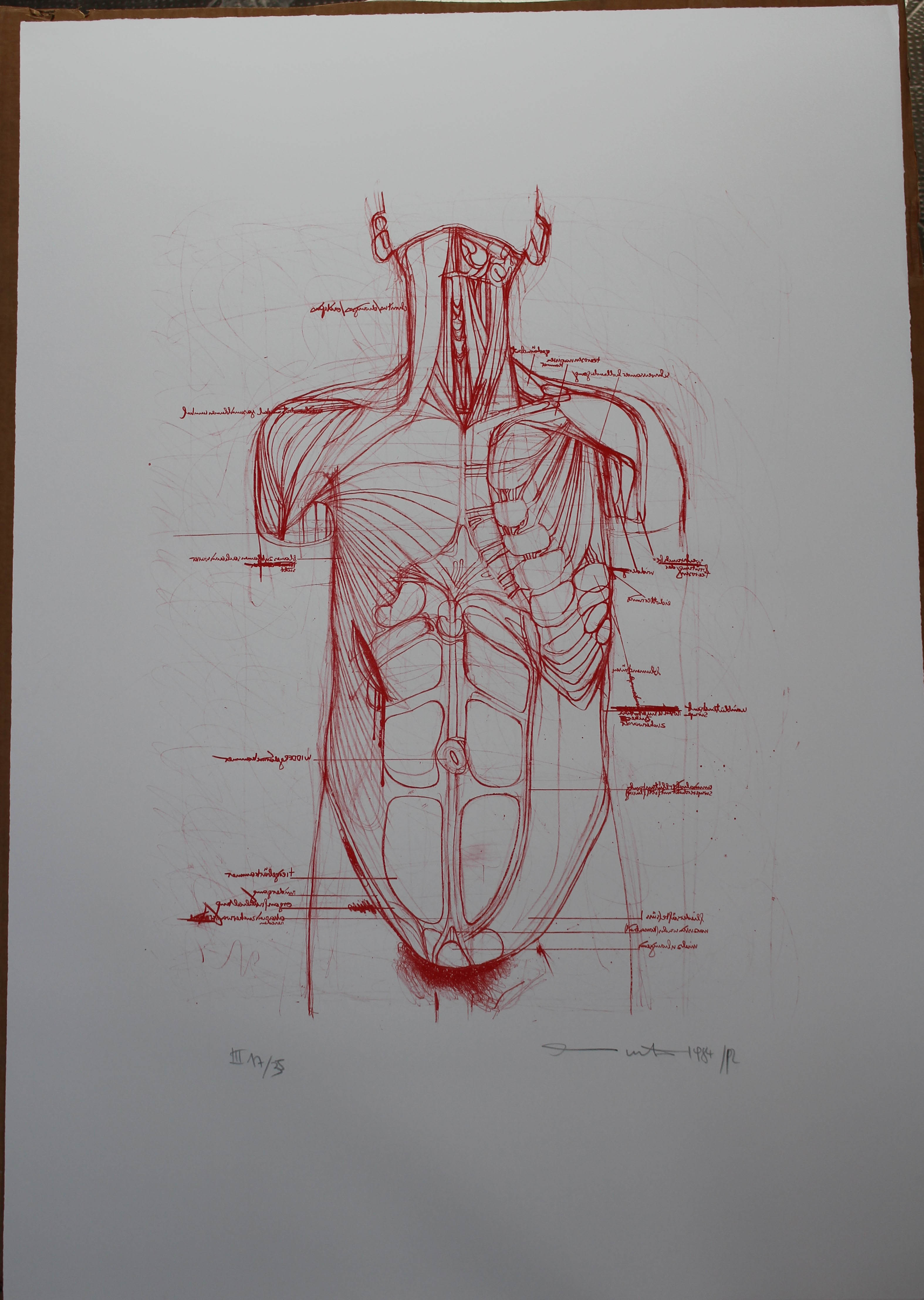 (Portfolio III n.20) Litograph in red, Corpo umano (stampa) di Hermann Nitsch - ambito viennese (XX sec)