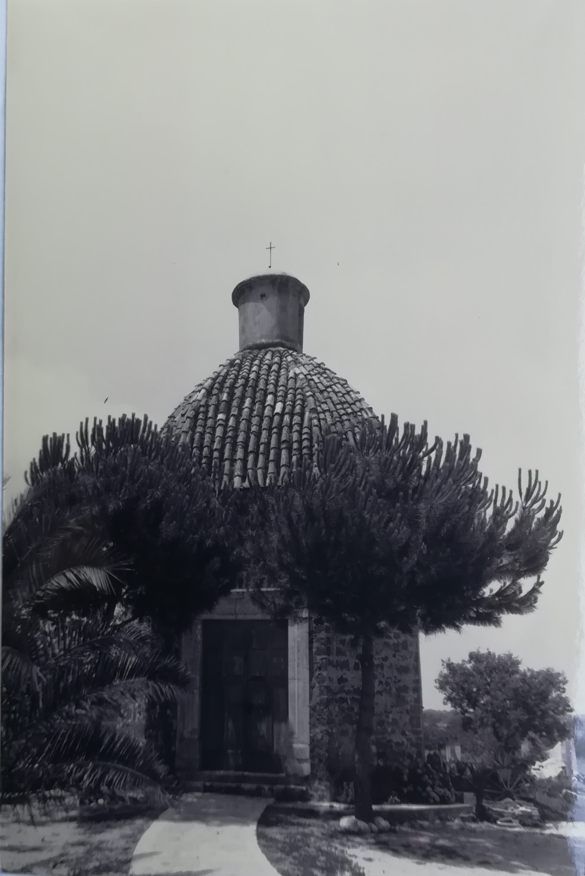 Cappella di San Giacomo (cappella, rurale) - Alvignano (CE)  (XVI, inizio)