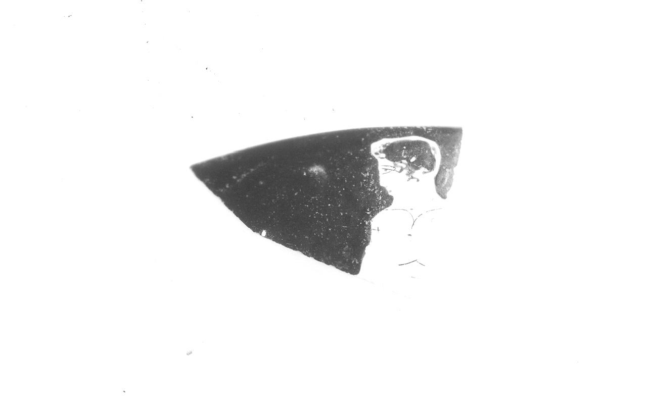 Figura maschile (kylix/ frammento) - produzione attica (V sec. a.C)
