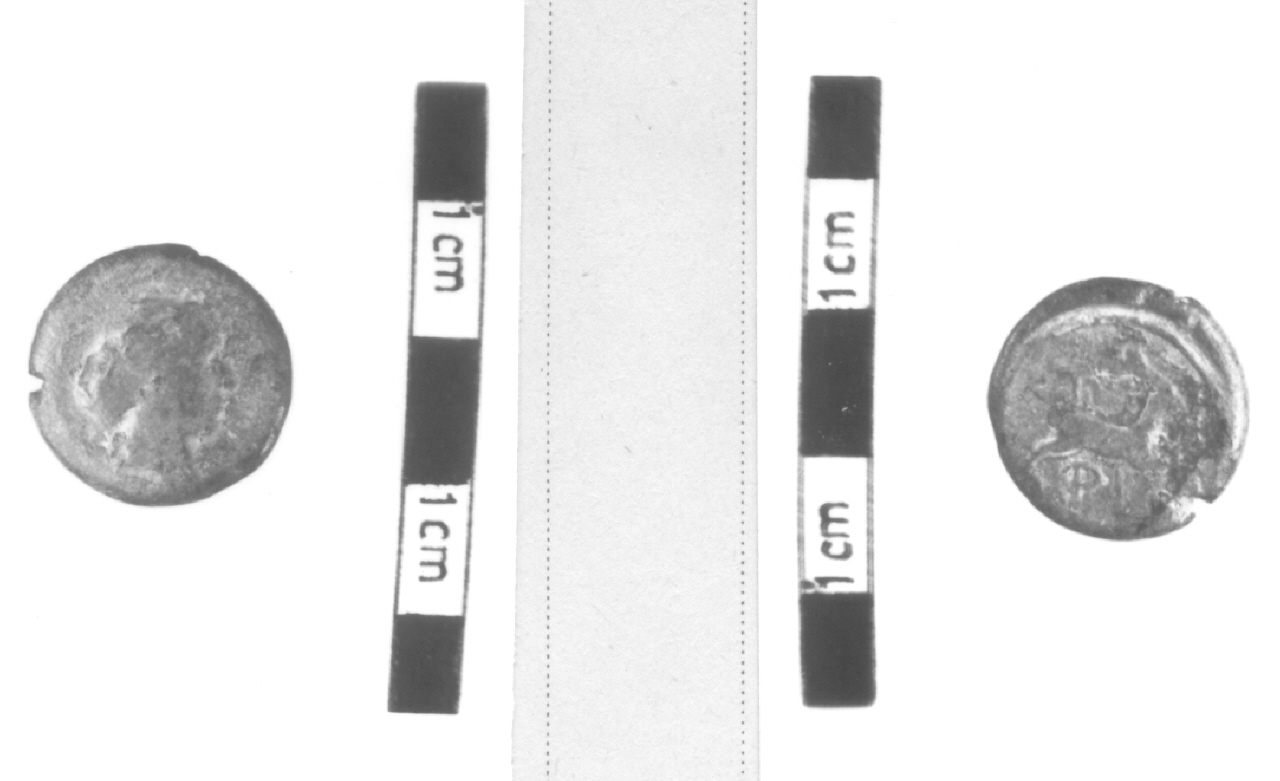 Testa di ninfa / Lepre (moneta, nominale incerto) (IV sec. a.C)
