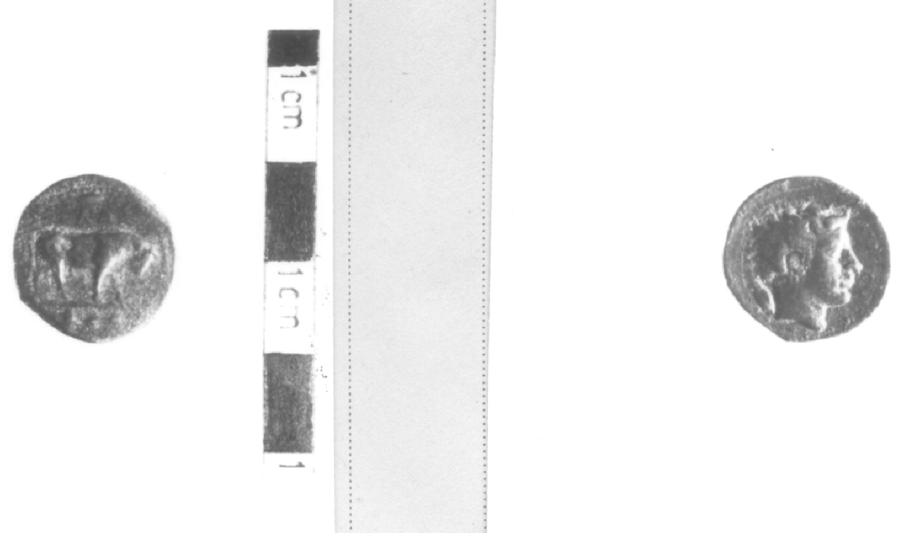 Toro gradiente a destra / Testa del dio Gela (moneta, triente) (V sec. a.C)