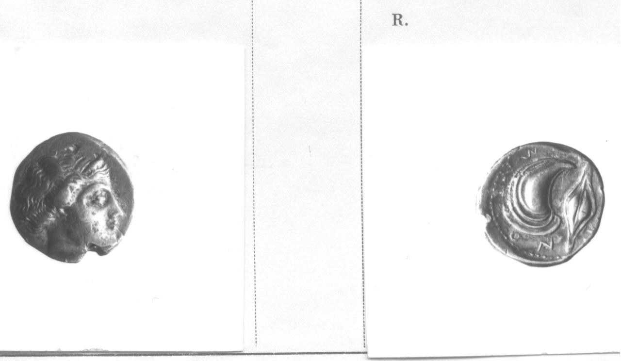 Testa femminile / Cozza (moneta, dramma) (V sec. a. C)