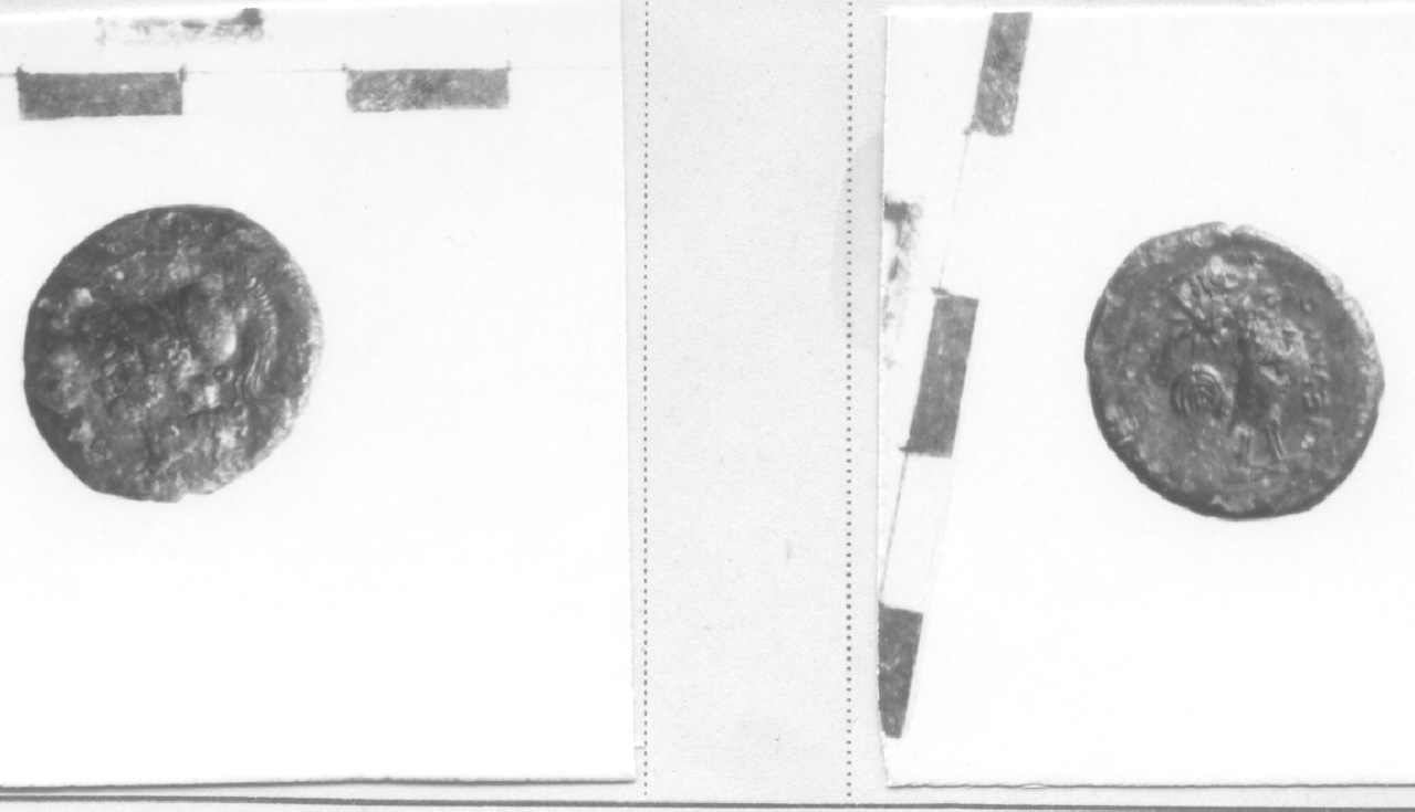 Testa di Pallade / Gallo (moneta, litra) (III sec. a.C)