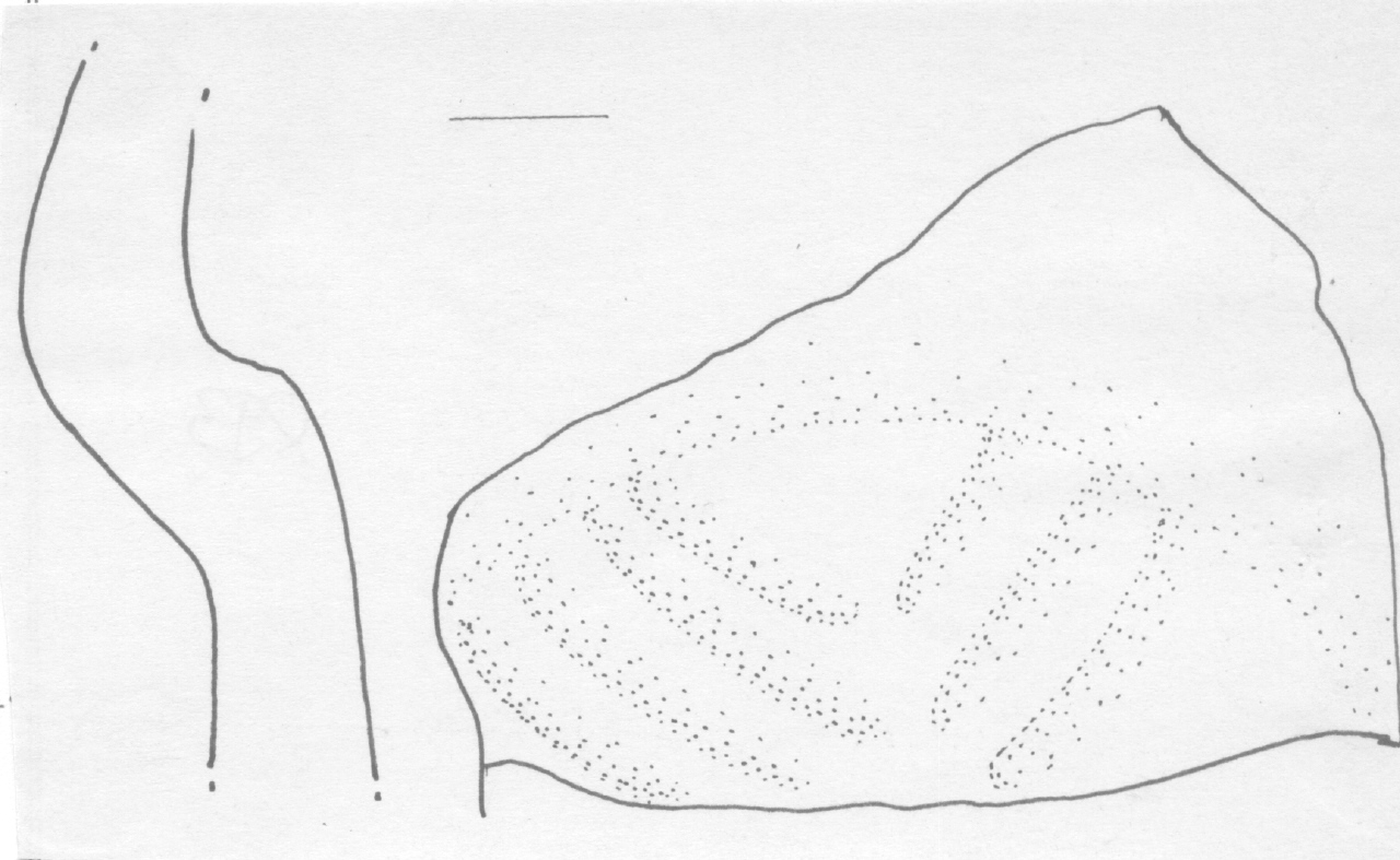 bugna cava - Facies Terramara (Età del Bronzo antico)