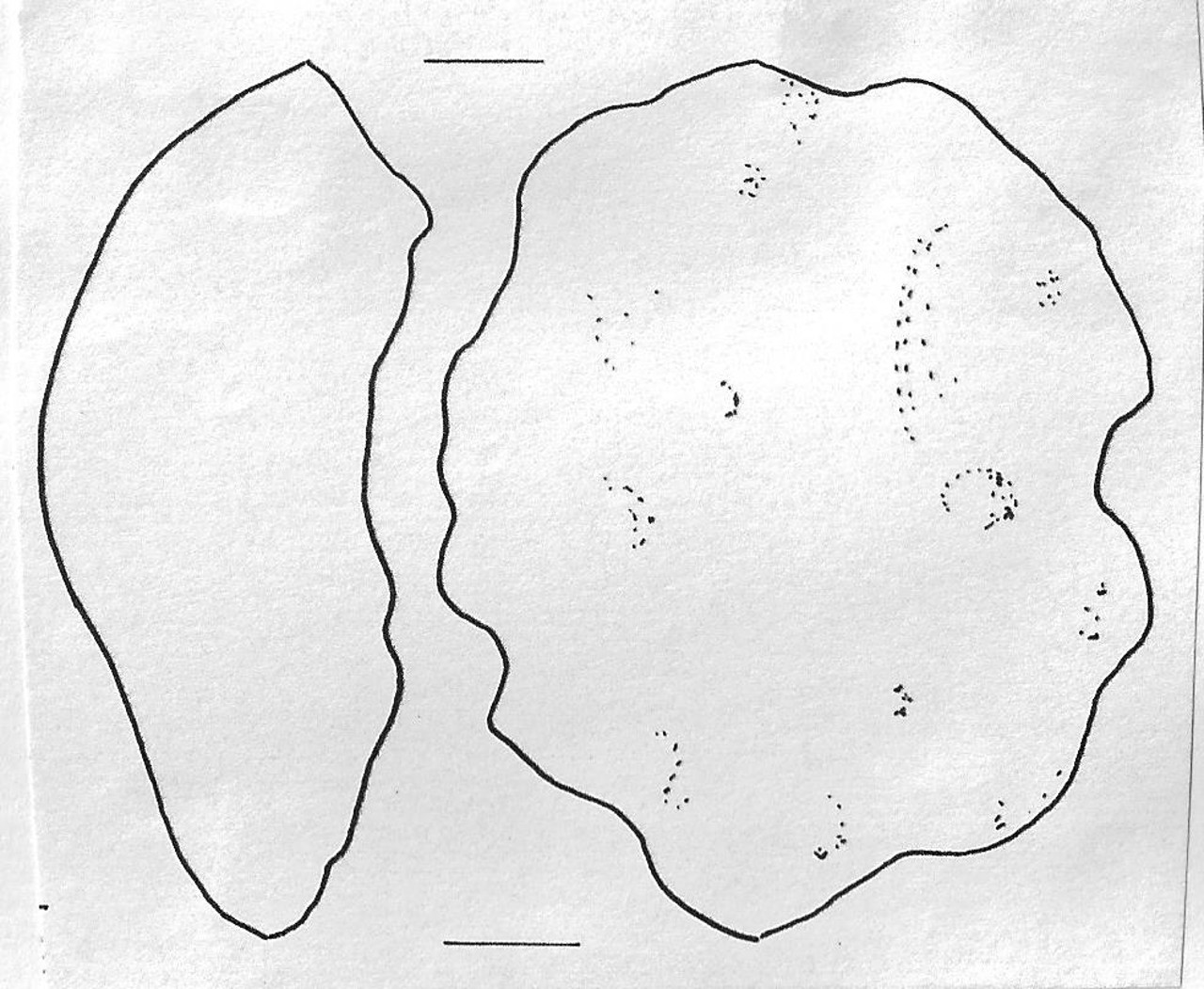 scorie di fusione - Facies Terramara (Età del bronzo)