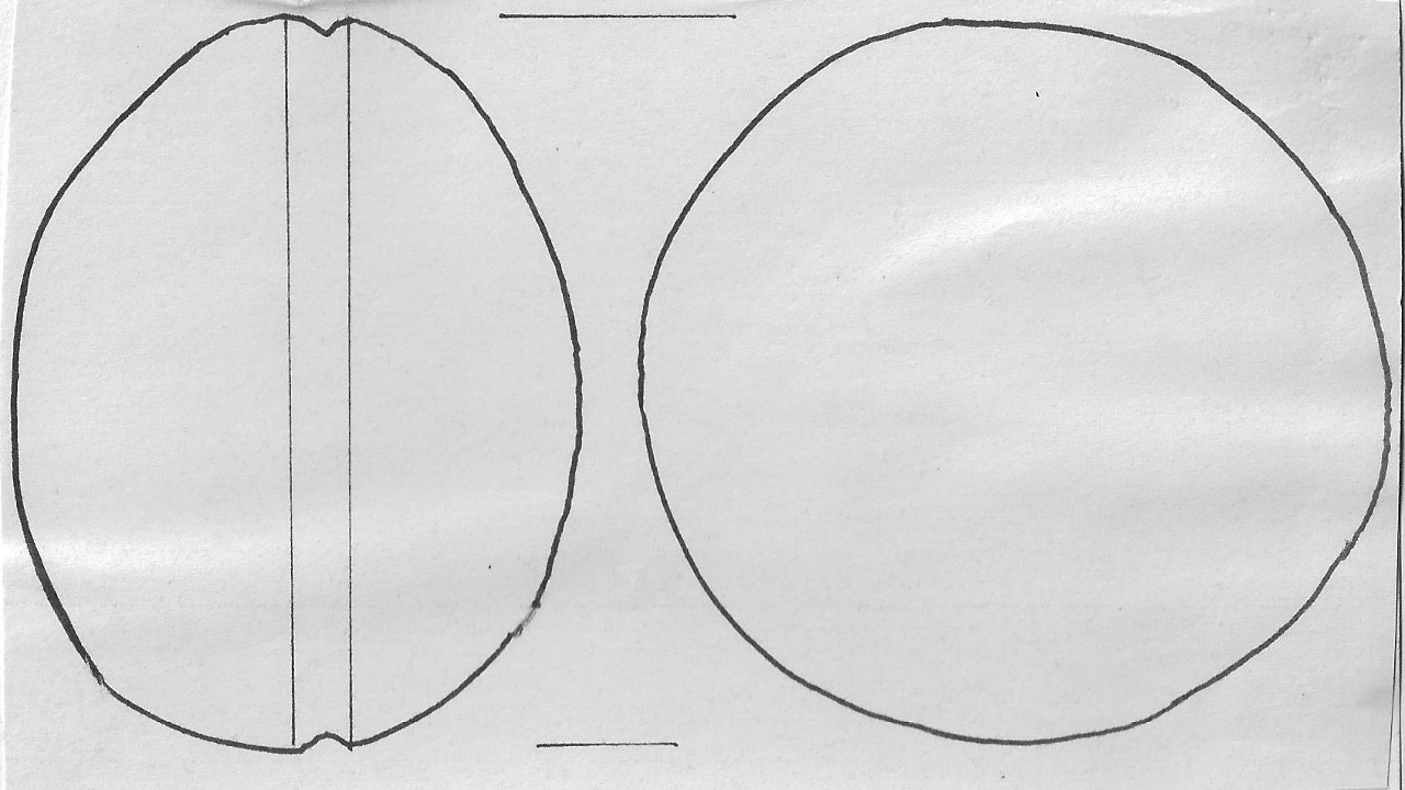 martello - Facies Terramara (Età del Bronzo antico)