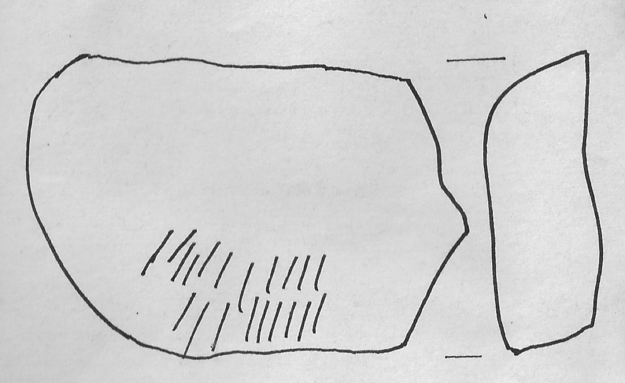 nucleo/ litico - Facies Terramaricola (Età del bronzo)