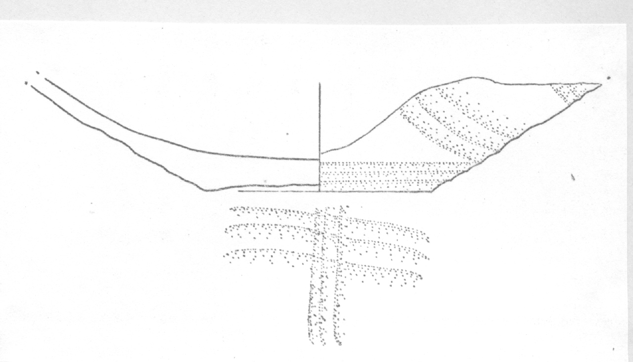 tazza - Facies Terramara (Età del bronzo)