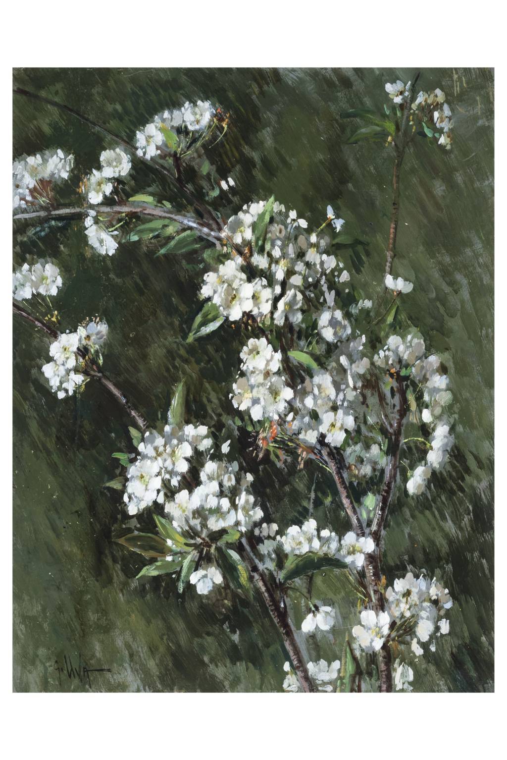 Ciliegio in fiore, Fiori (dipinto, opera isolata) di Uva, Giuseppe (attribuito) - ambito campano (prima metà XX)