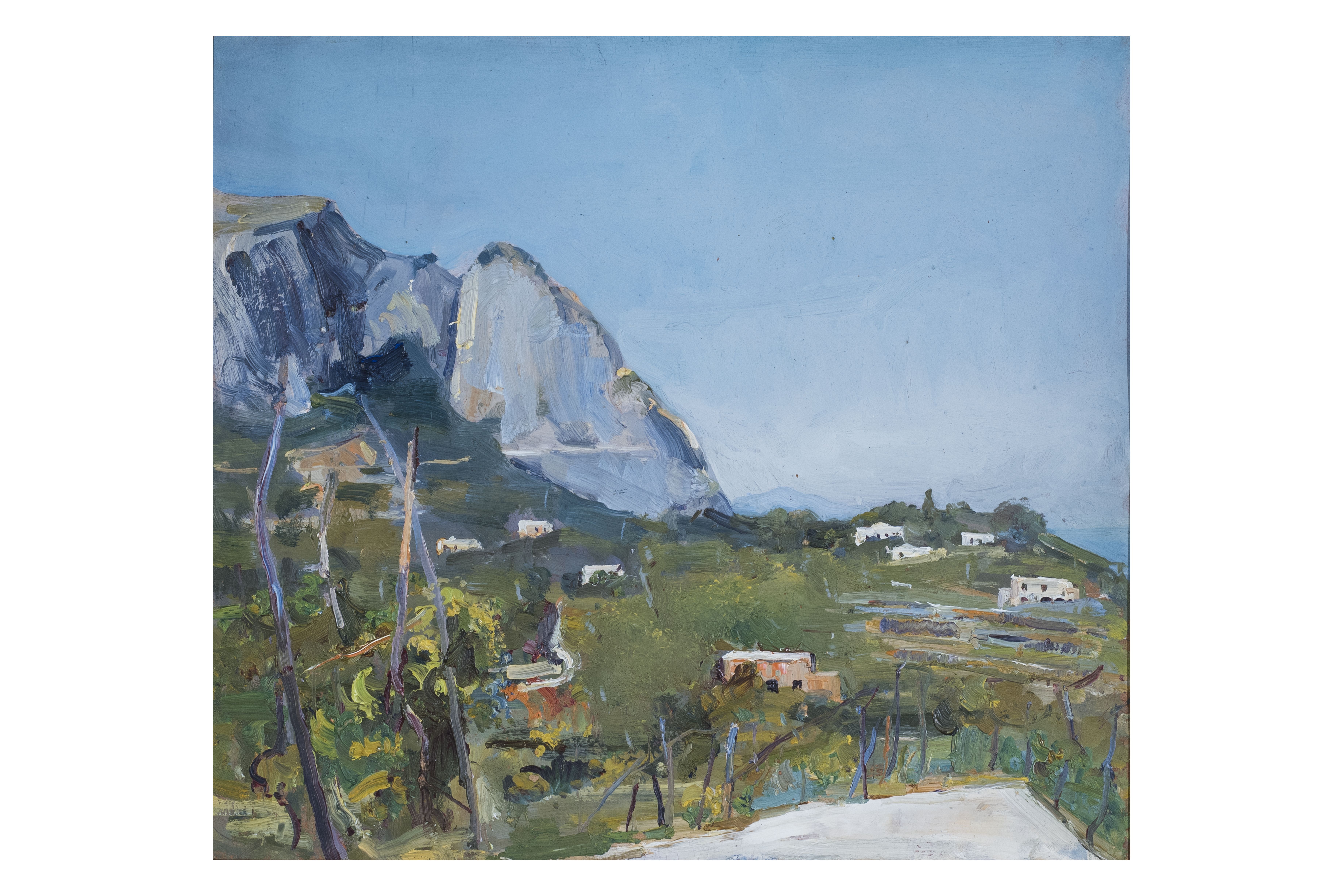 Paesaggio - Capri, Paesaggio (dipinto, opera isolata) di Canino, Vincenzo (attribuito) (prima metà XX)