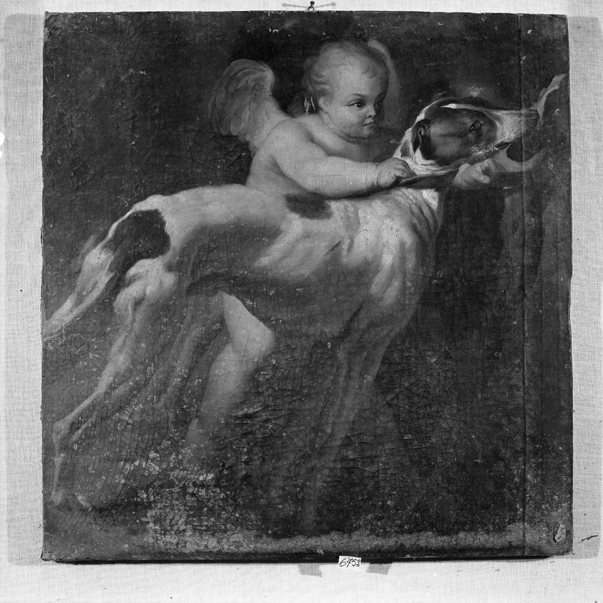 Cupido con due cani (dipinto) - ambito toscano (secc. XVII/ XVIII)