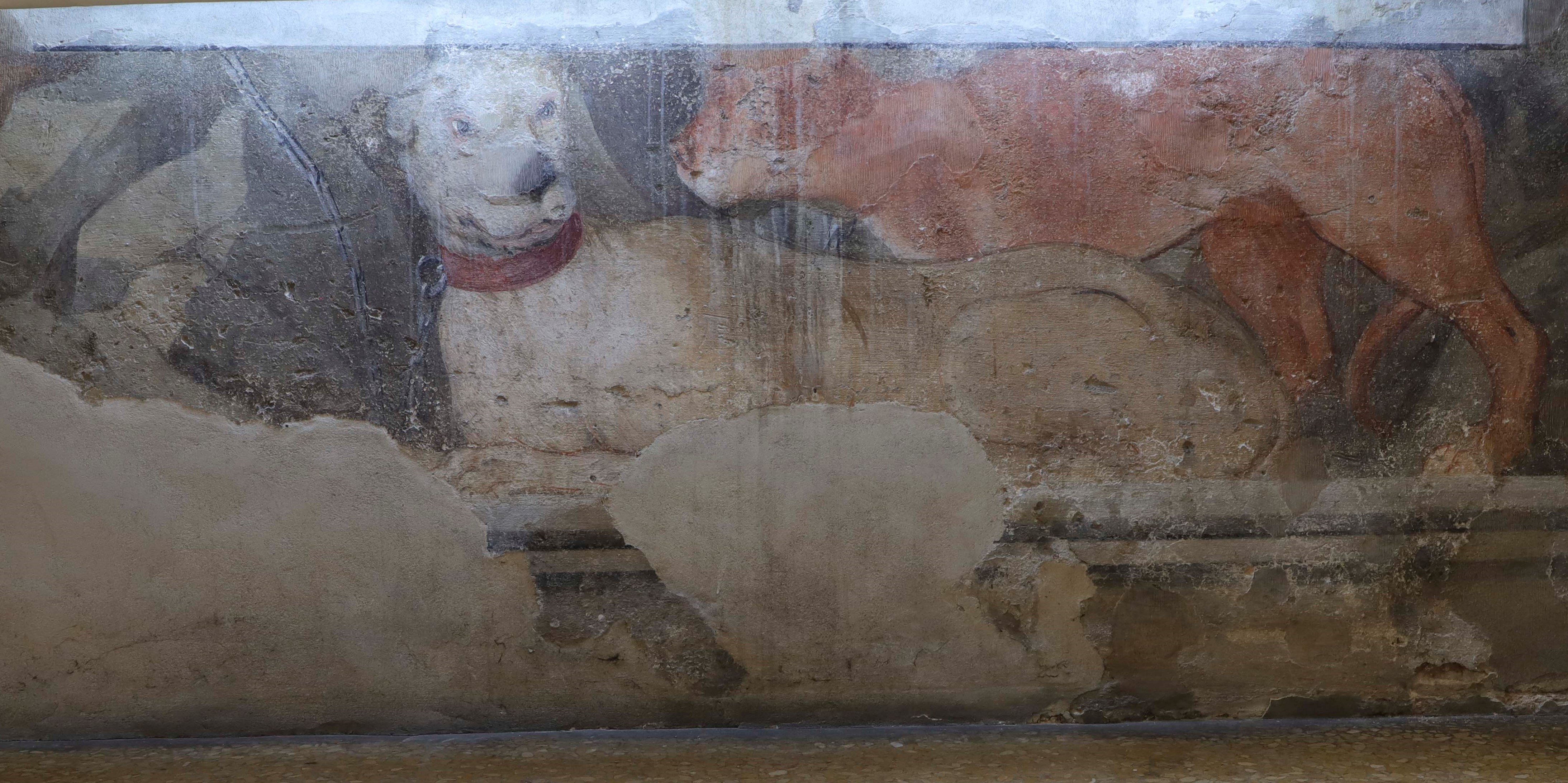 animali (dipinto, elemento d'insieme) di Primon, Michele (attribuito) - ambito veneto (ultimo quarto XVII)