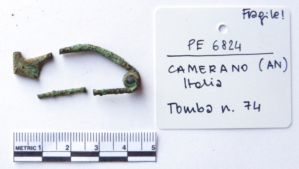 fibula, Tipo Certosa, con staffa a linguetta (seconda Età del Ferro)