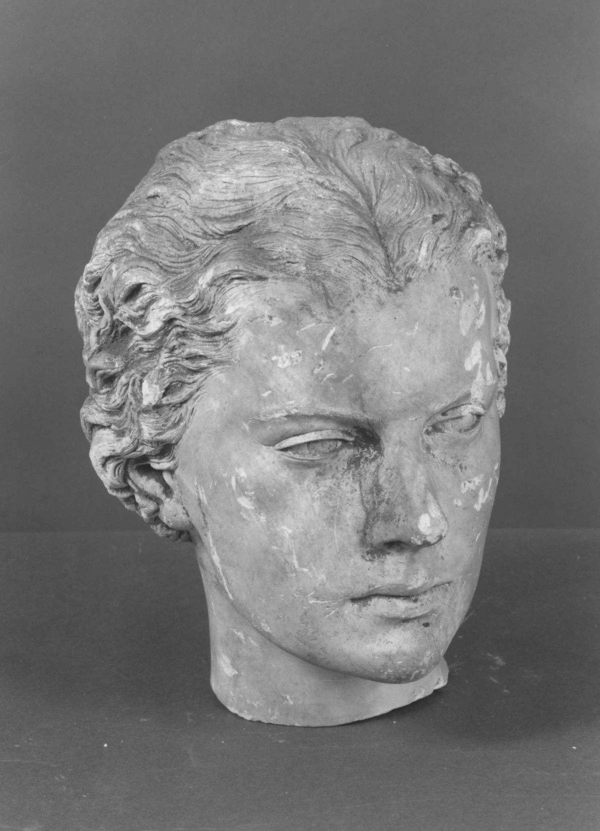 testa di Marina Ruspoli (scultura, frammento) di Berti Antonio (secondo quarto sec. XX)