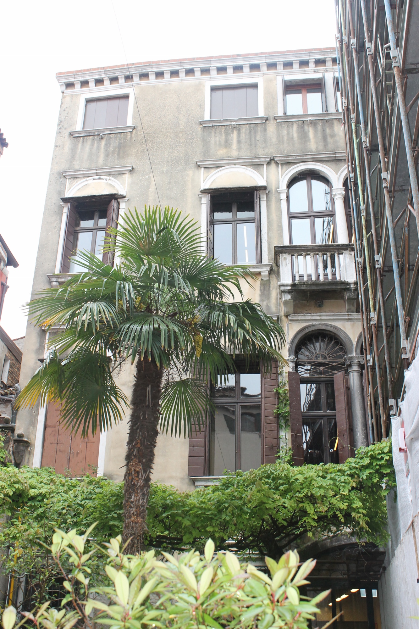 Palazzo Boldù (palazzo, di famiglia) - Venezia (VE)  (XVI, seconda metà)