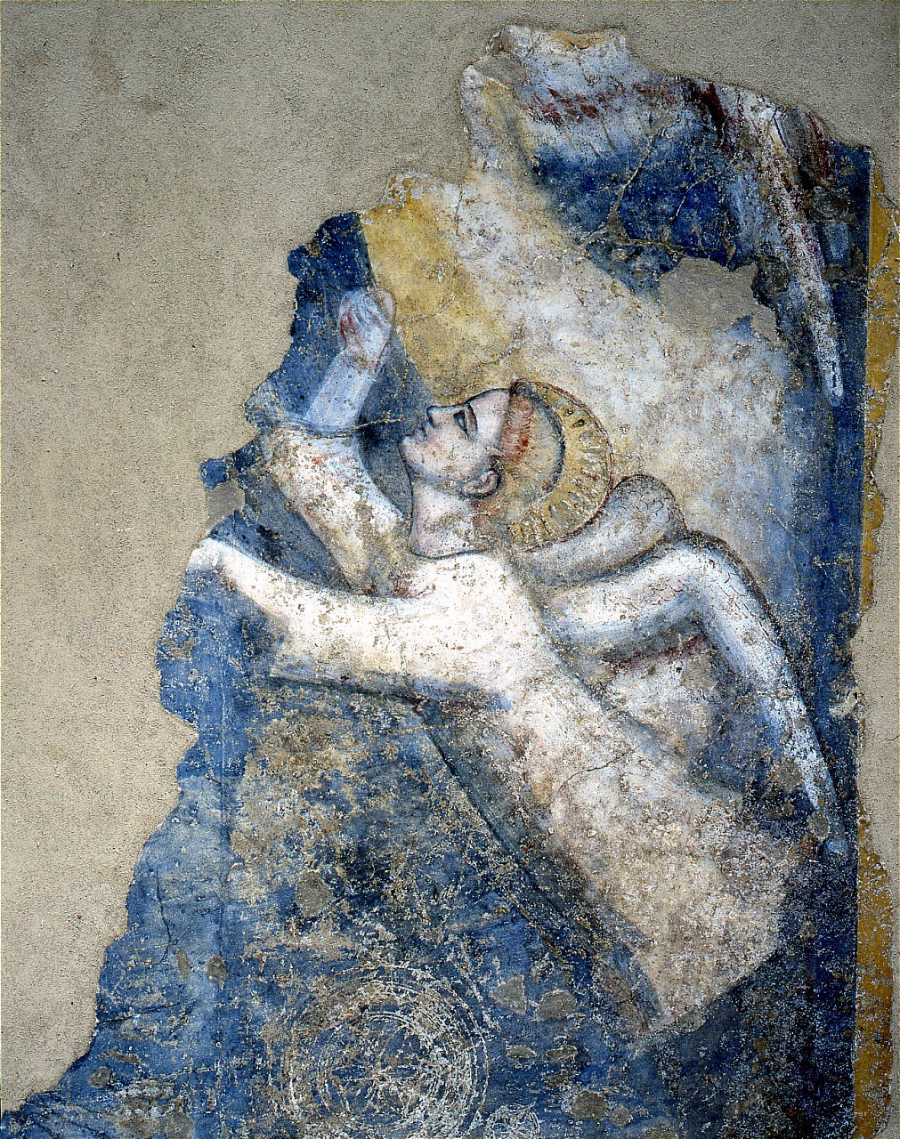 angelo (dipinto murale staccato, frammento) - ambito fiorentino (primo quarto sec. XIV)