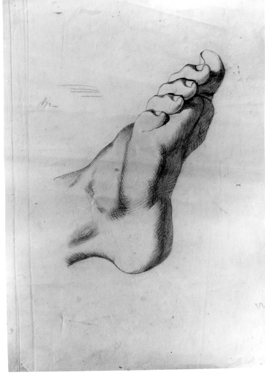 piede (disegno) di Pantaloni Raffaello (primo quarto sec. XX)