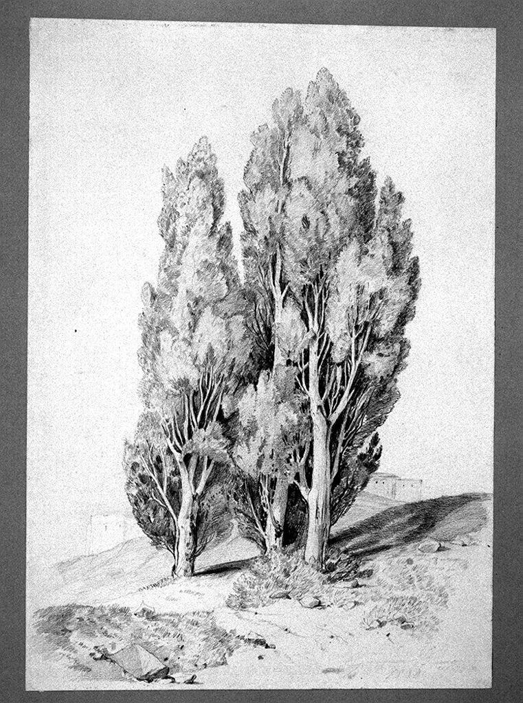 paesaggio con alberi (disegno) di Spadafora S (sec. XIX)
