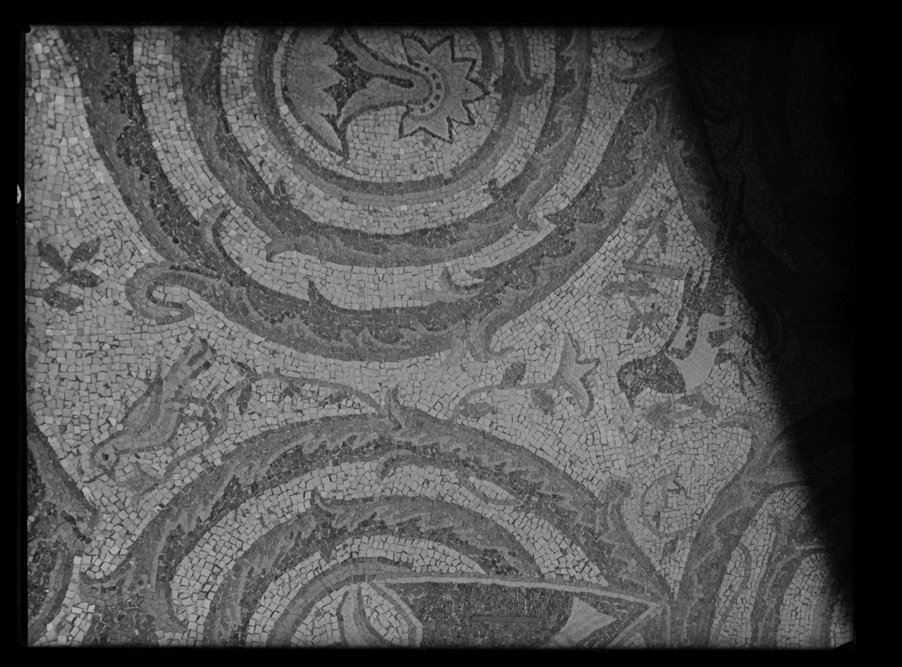 Girali <Basilica di San Clemente al Laterano ; Roma> - Absidi - Mosaici - Sec. 12 (negativo) di laboratorio fotografico Soprintendenza Monumenti del Lazio (laboratorio) (terzo quarto XX)