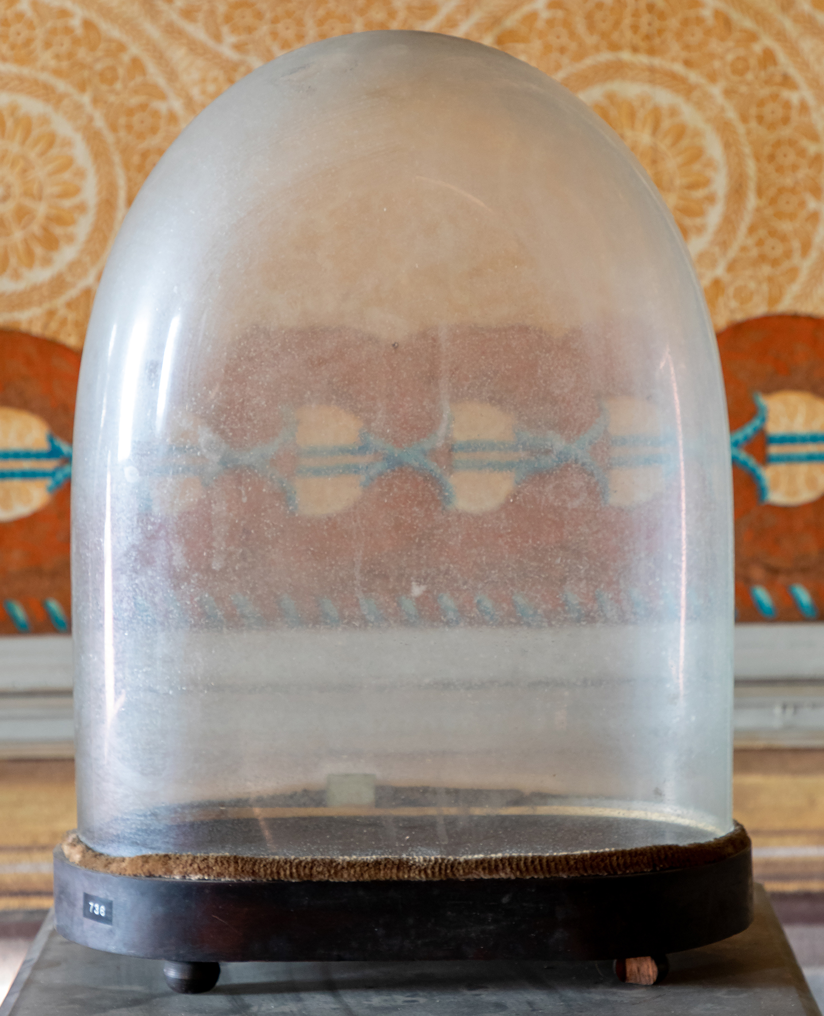 campana di vetro - manifattura piemontese (XIX)