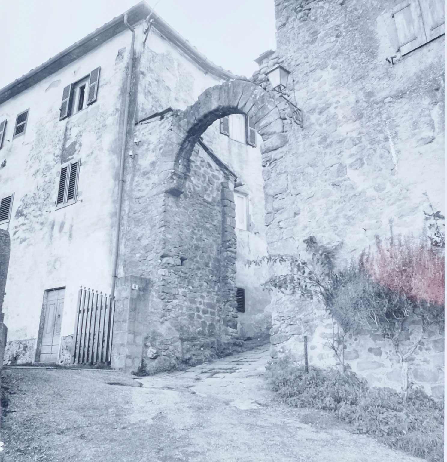 portale - manifattura toscana (XIII)