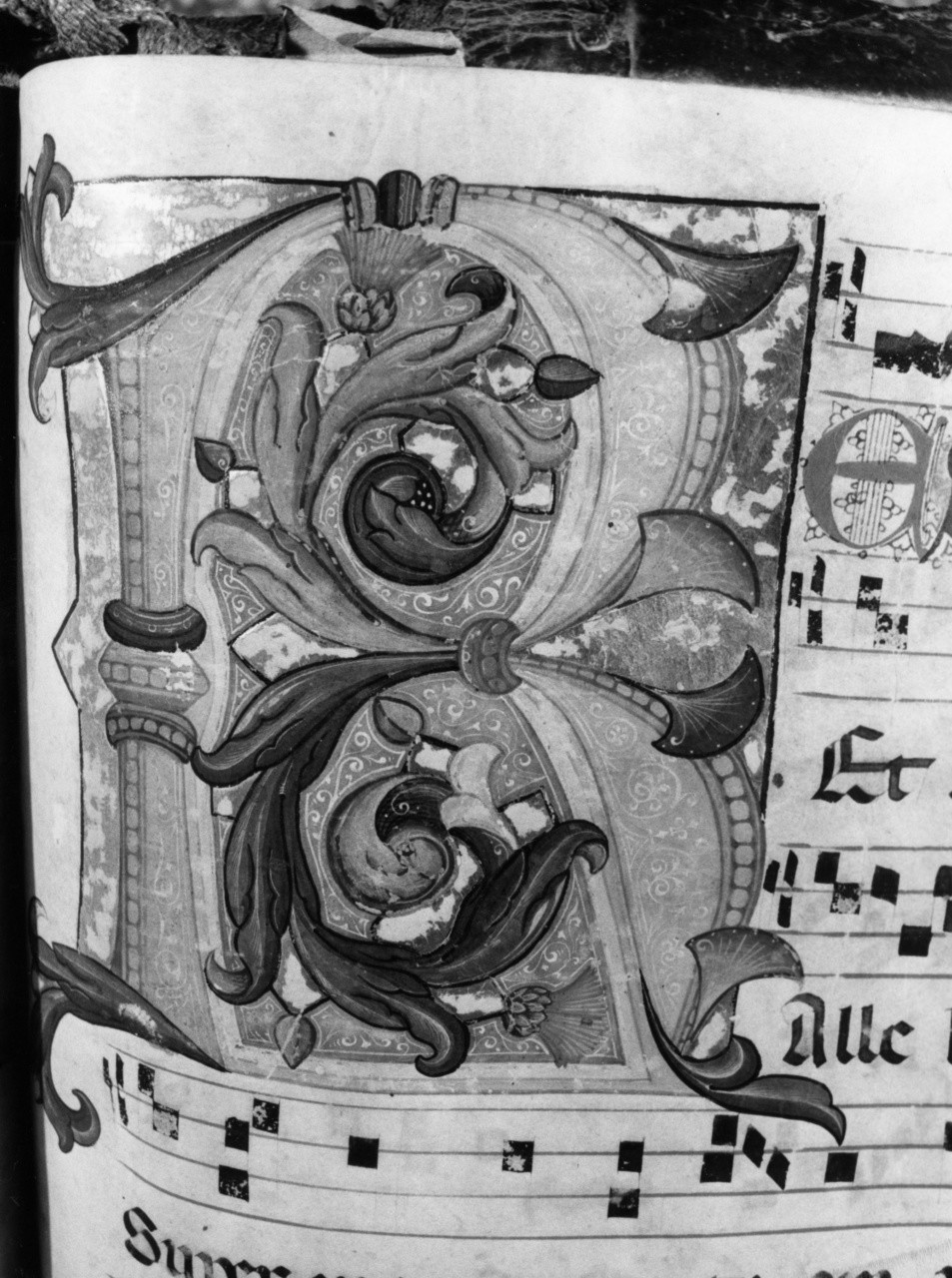 lettera R (miniatura) di Mariotto di Nardo (attribuito) (fine sec. XIV)