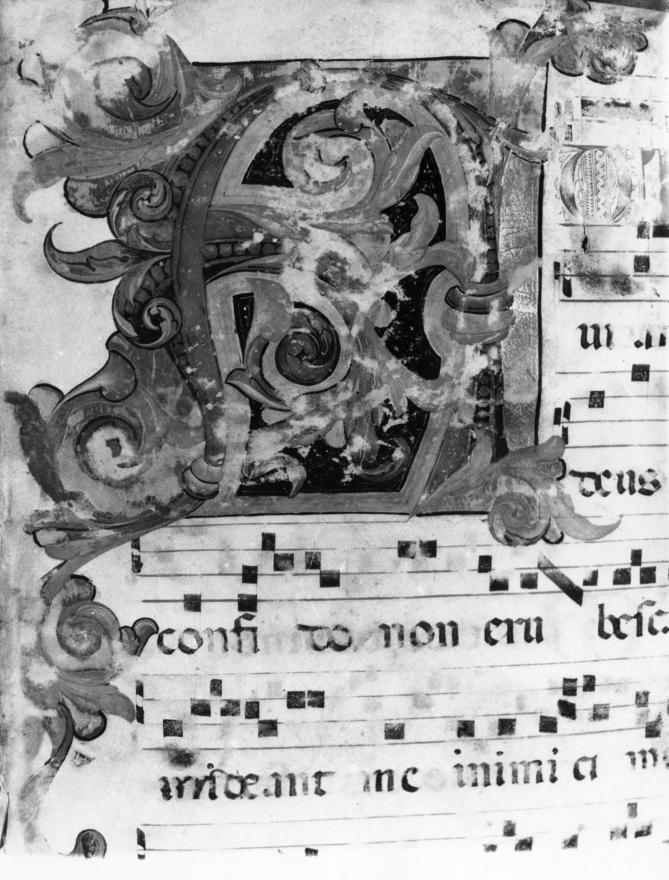 lettera A (miniatura) di Mariotto di Nardo (attribuito) (fine sec. XIV)