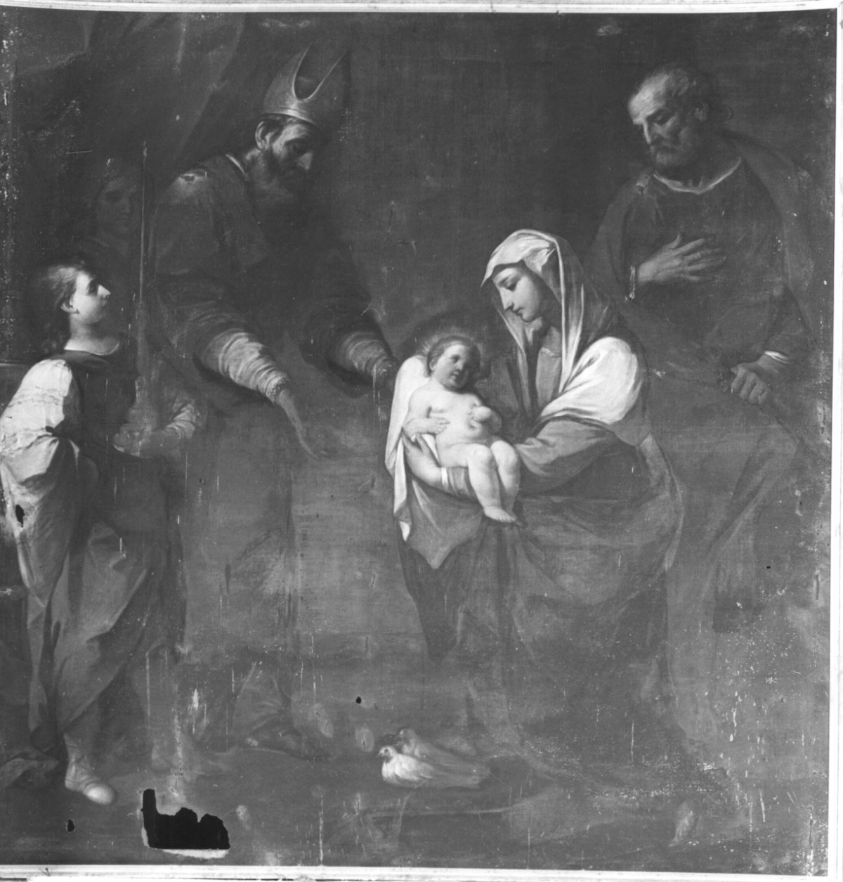 presentazione di Gesù al tempio (dipinto) - ambito senese (sec. XVII)