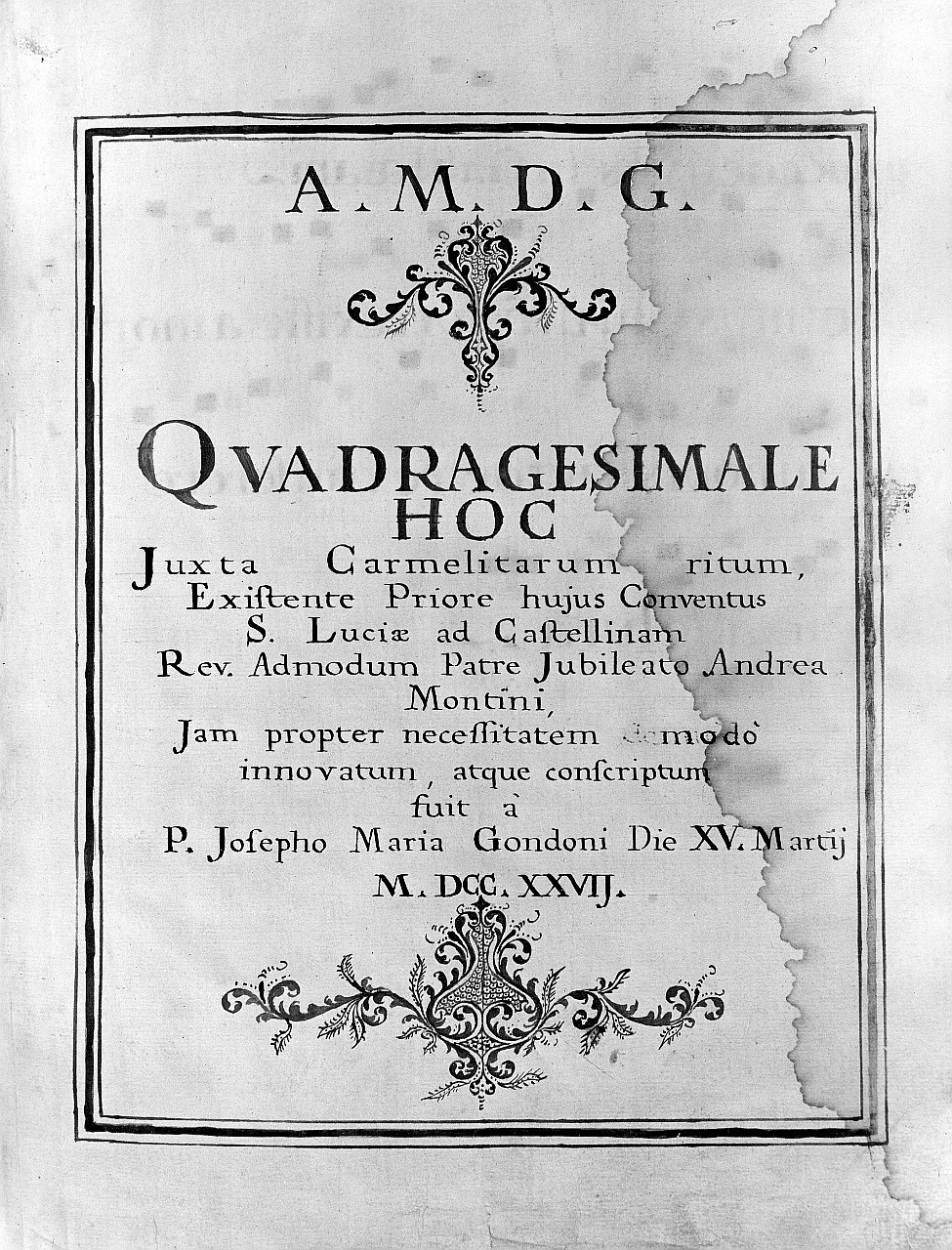 motivi decorativi vegetali (dipinto) di Gondoni Giuseppe Maria (secondo quarto sec. XVIII)