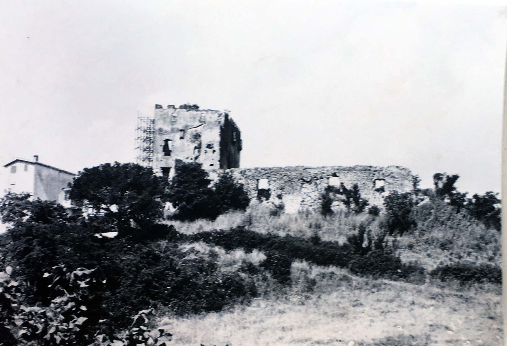 Castello medievale detto "Torre di Francolise" (castello) - Francolise (CE) 
