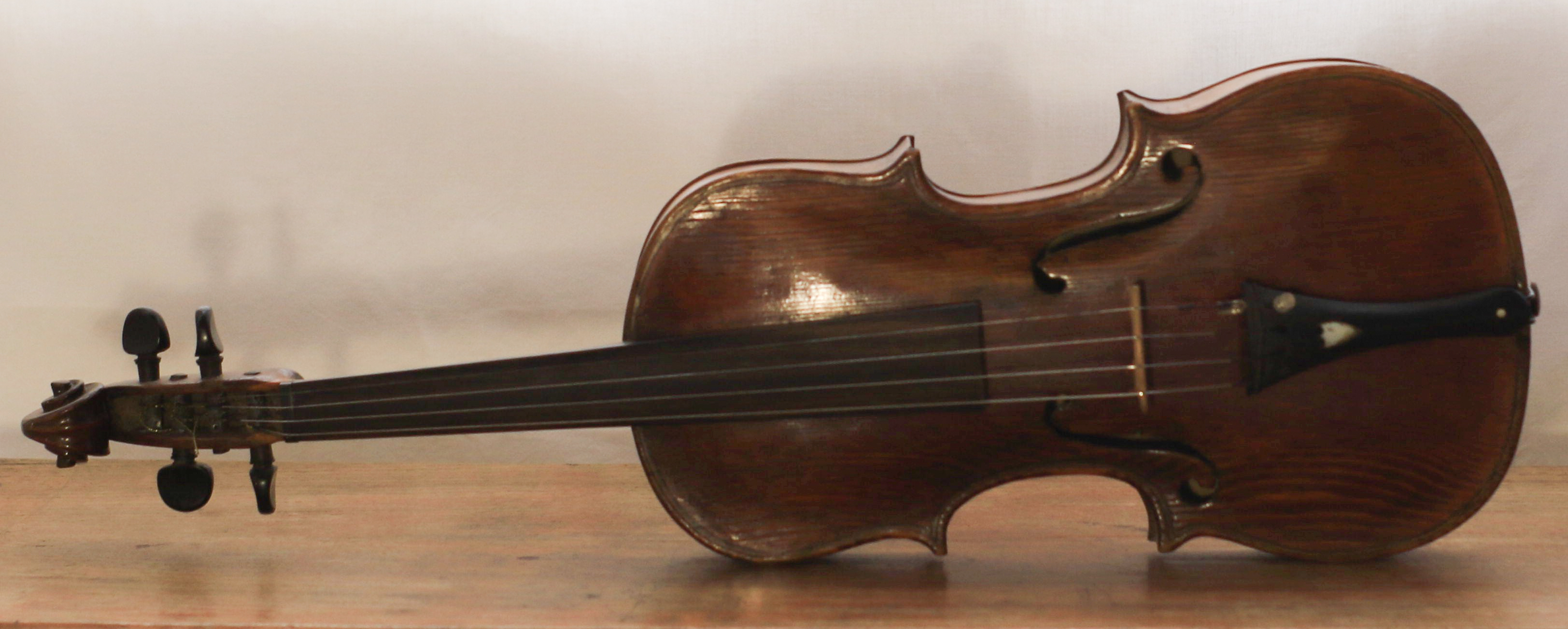 violino - bottega marchigiana (sec. XIX)