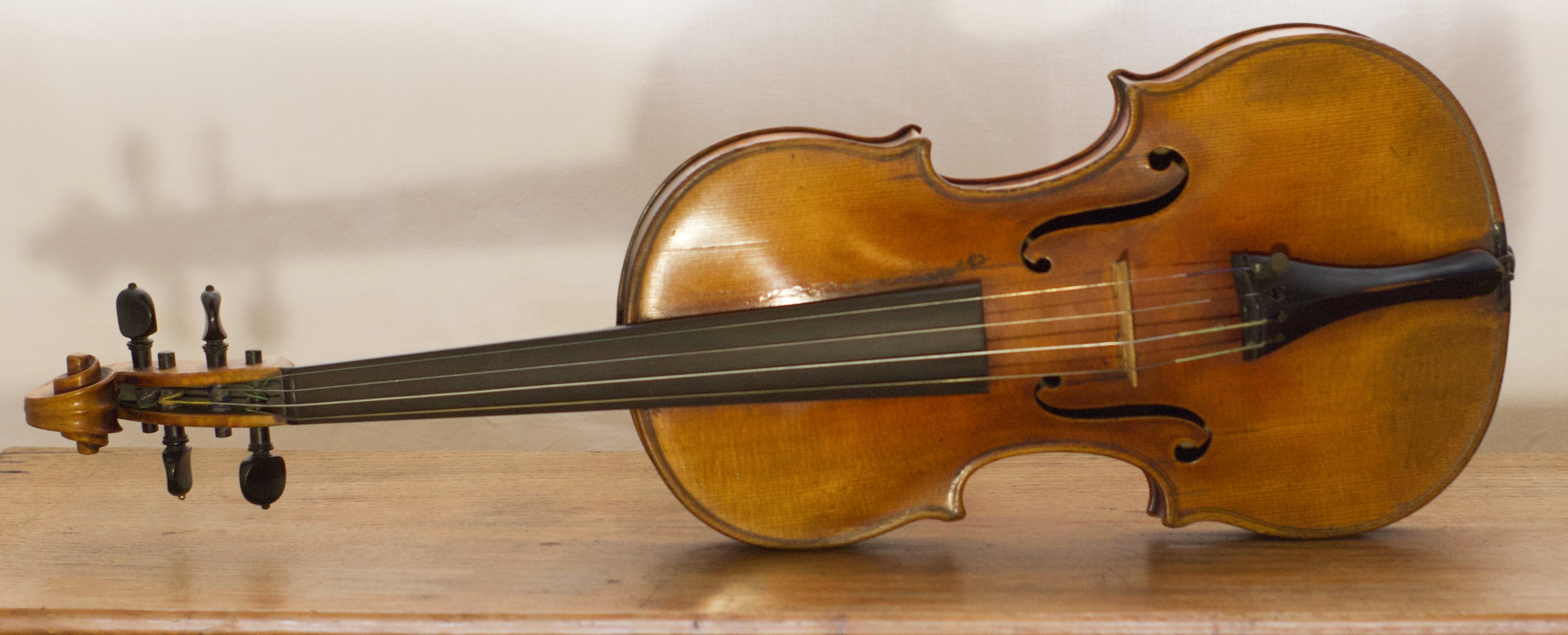violino di Sacconi Simone Fernando (sec. XX)
