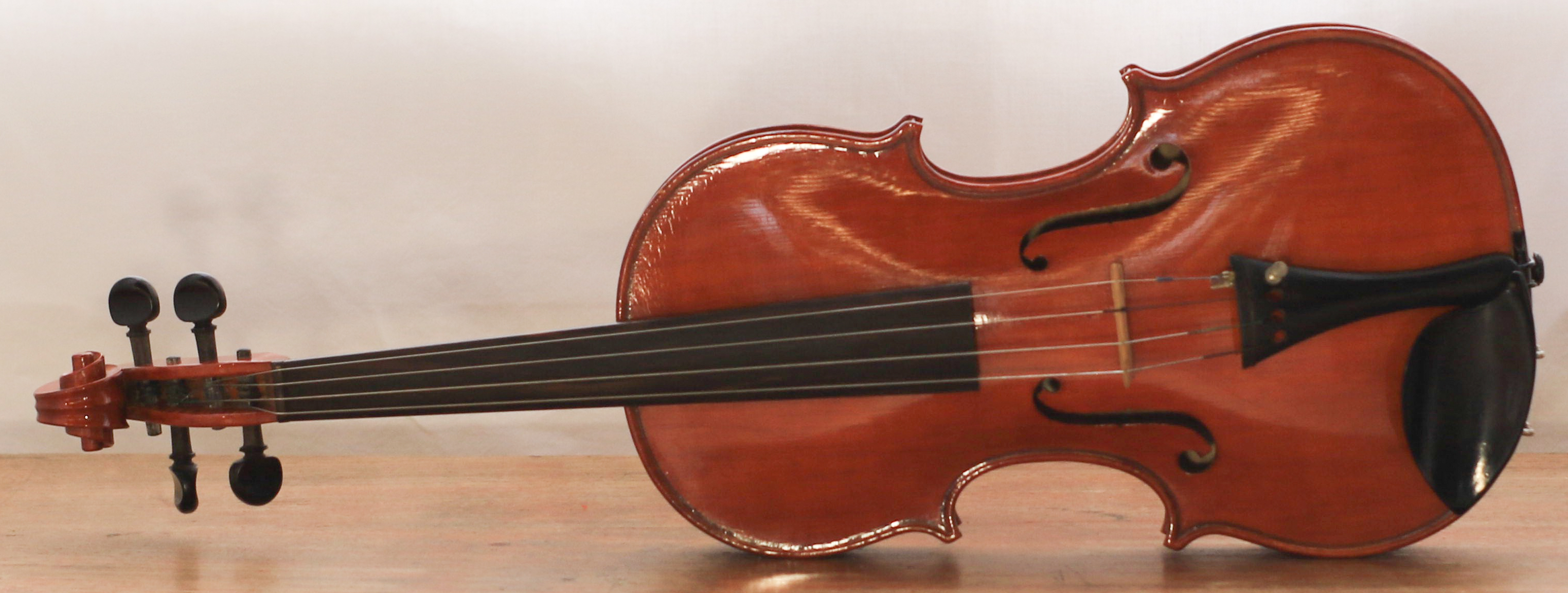 violino di Stefanini Giuseppe (sec. XX)