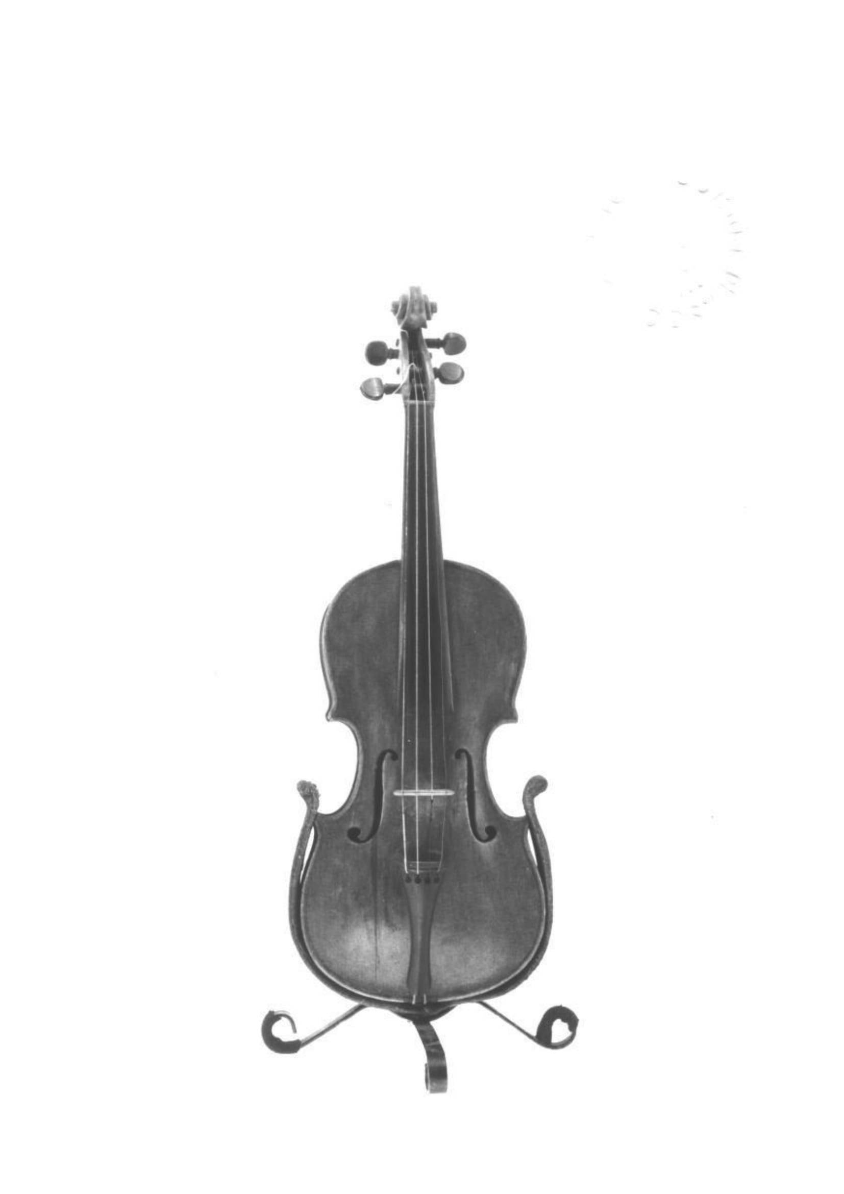 violino - bottega Italia centrale (fine/ inizio secc. VIII/ XIX)