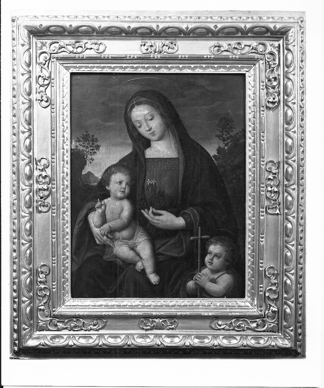 Madonna con Bambino e San Giovannino (dipinto) - ambito fiorentino (inizio sec. XVI)