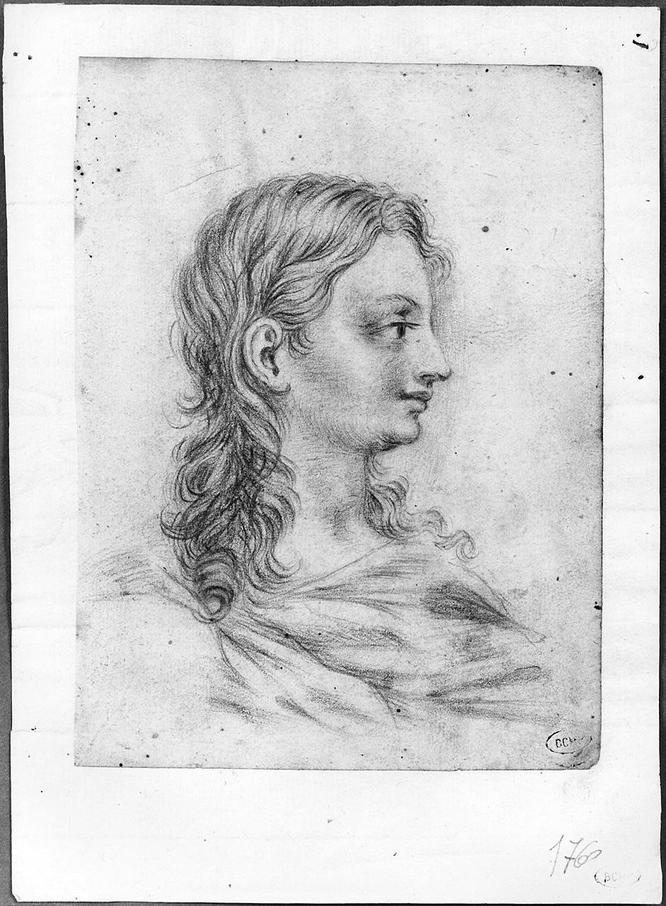 testa di giovane (disegno) di Ansaldi Innocenzo (sec. XVIII)