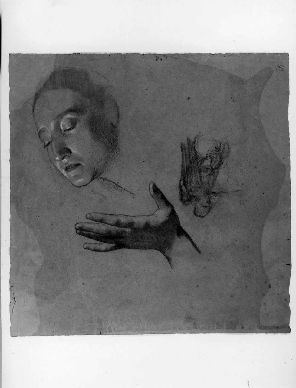 studio di testa; studio di mano; studio di panneggio; studio di nudo (disegno preparatorio) di Franchi Alessandro (sec. XIX)