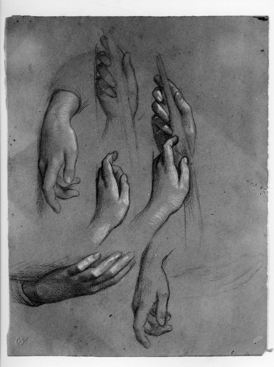 studio di mano; studio di panneggio (disegno preparatorio) di Franchi Alessandro (sec. XIX)