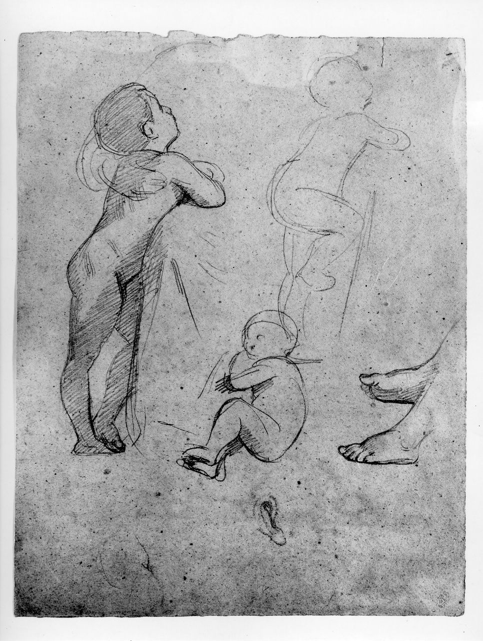 studio di nudo; studio di nudo infantile (disegno preparatorio) di Franchi Alessandro (sec. XIX)