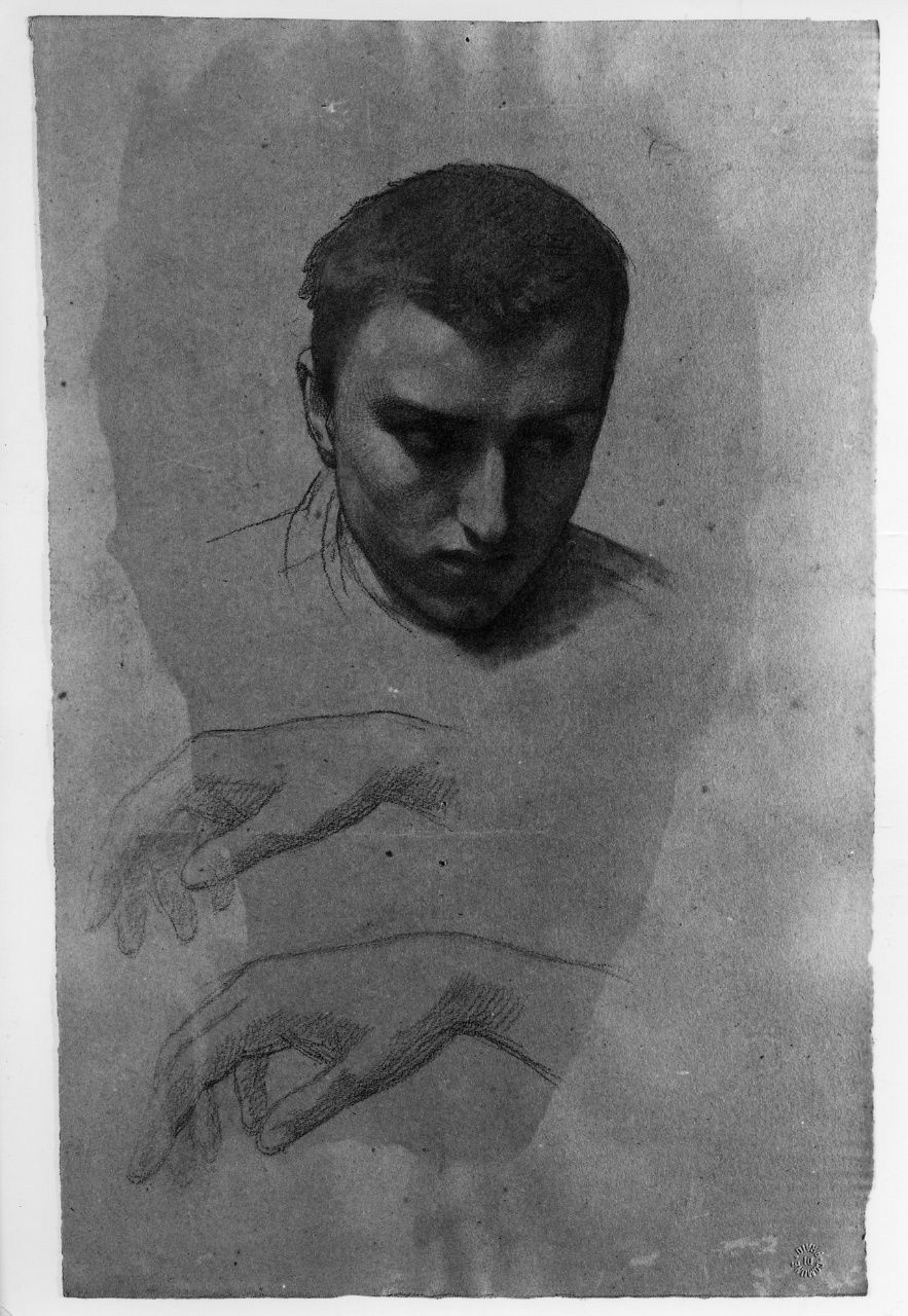 studio di testa; studio di mano (disegno preparatorio) di Franchi Alessandro (sec. XIX)