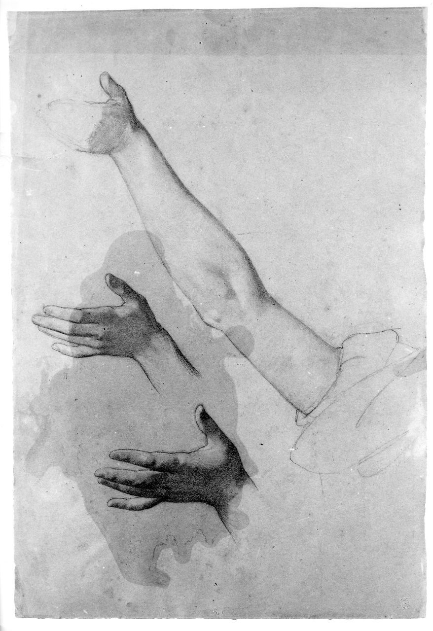 studio di mano; studio di braccio (disegno preparatorio) di Franchi Alessandro (sec. XIX)