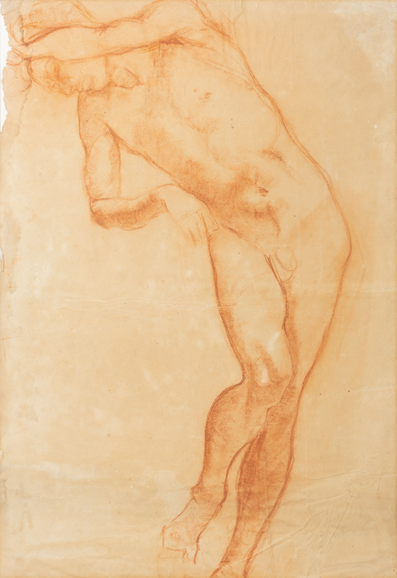 Nudo maschile appoggiato (disegno, opera isolata) di Cuneo Renata (XX)