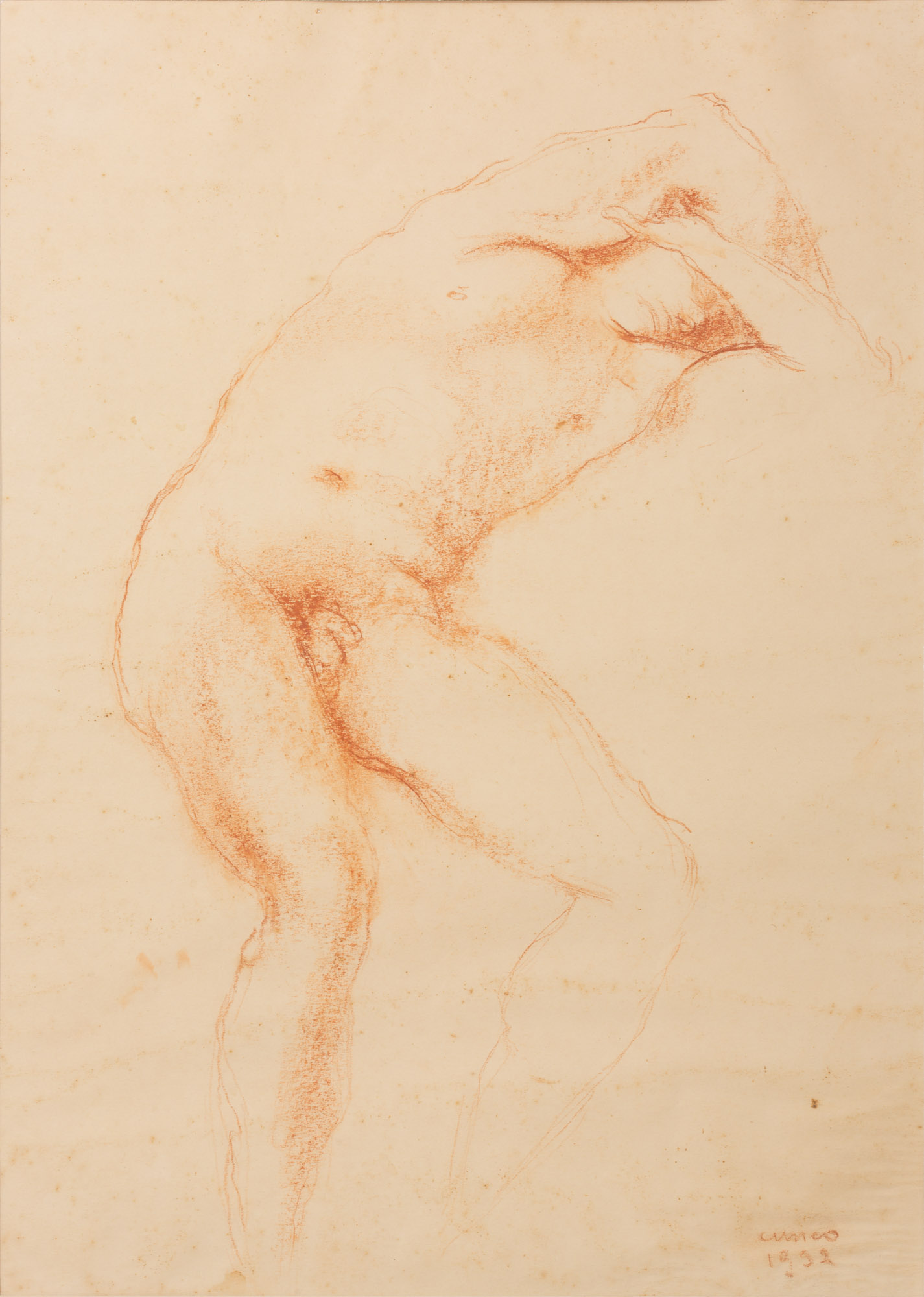 Nudo maschile appoggiato (disegno, opera isolata) di Cuneo Renata (XX)