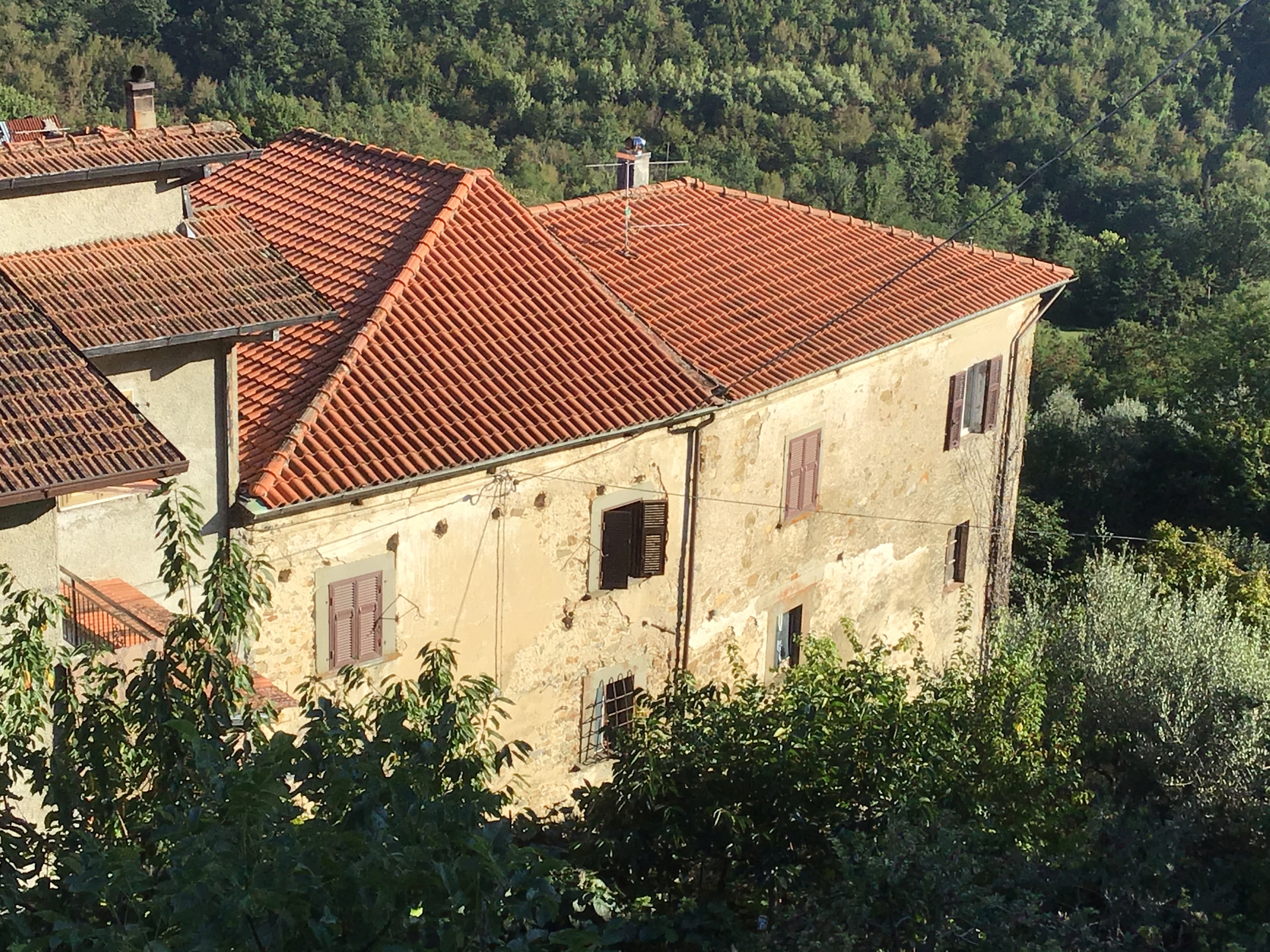 Palazzo Chiodini (palazzo, signorile) - Licciana Nardi (MS)  (XVIII)