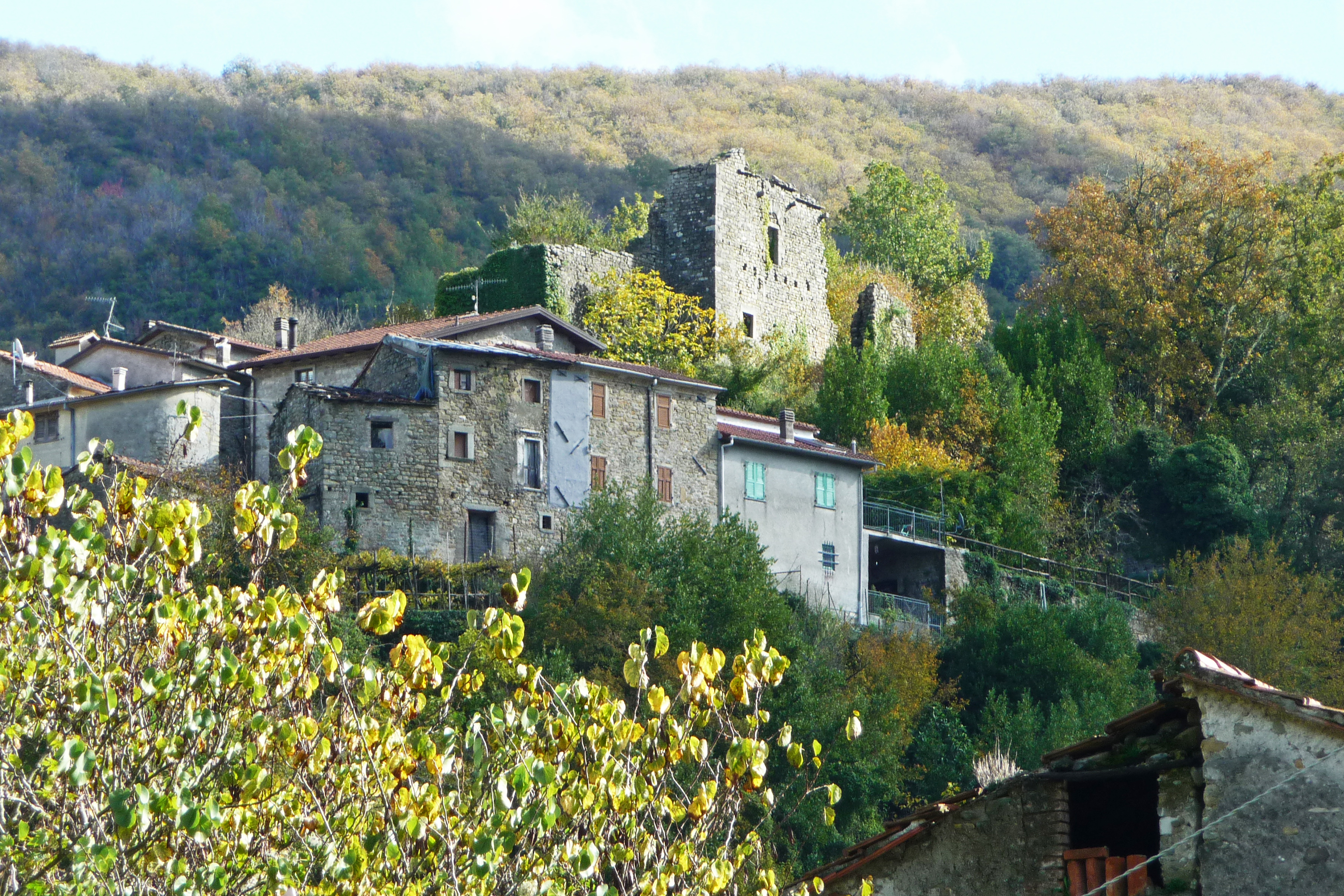 Castello (castello, fortificato) - Casola in Lunigiana (MS) 