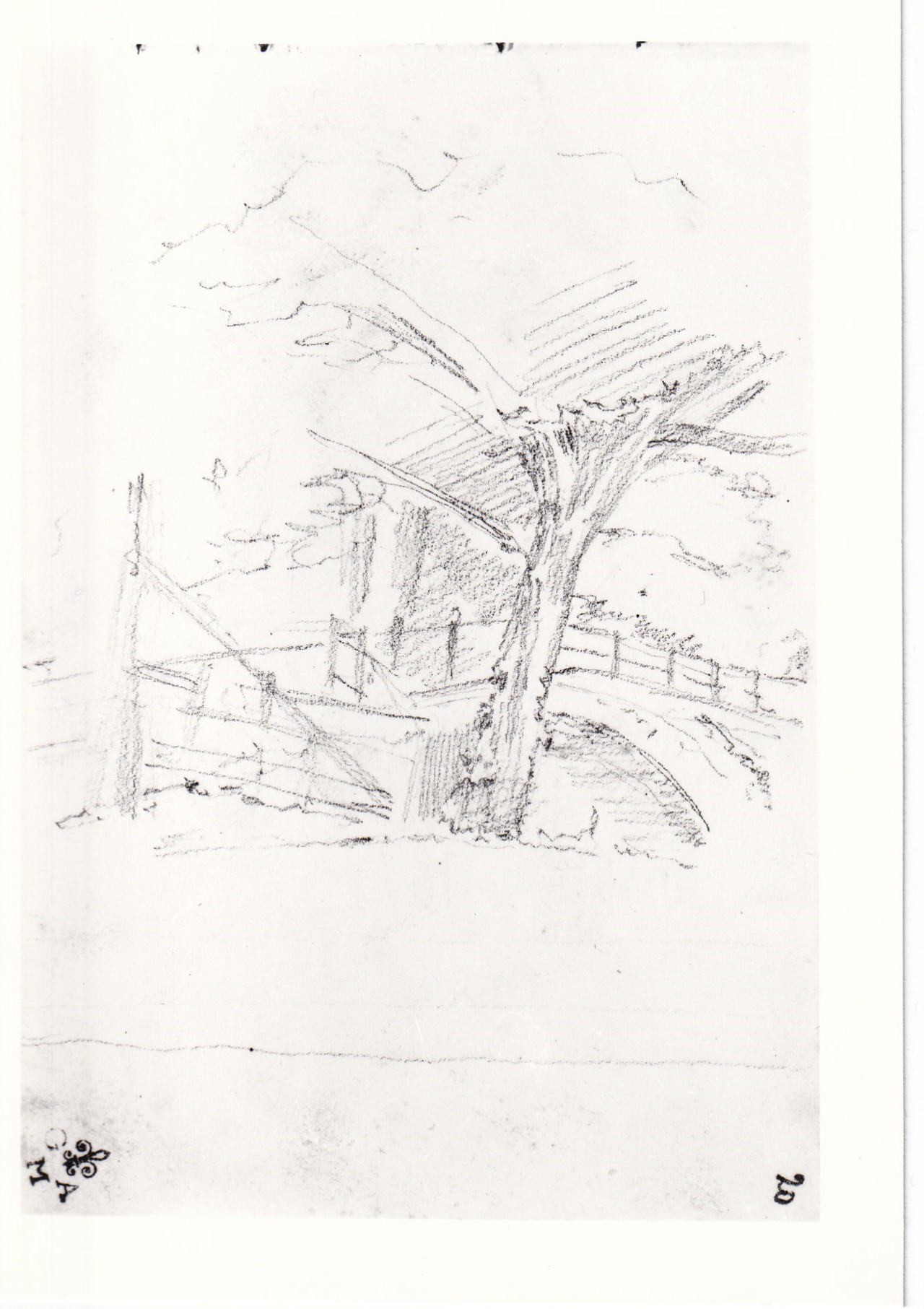 Veduta di uno scorcio della tenuta di S. Rossore, veduta (disegno) di Borrani Odoardo (sec. XIX)