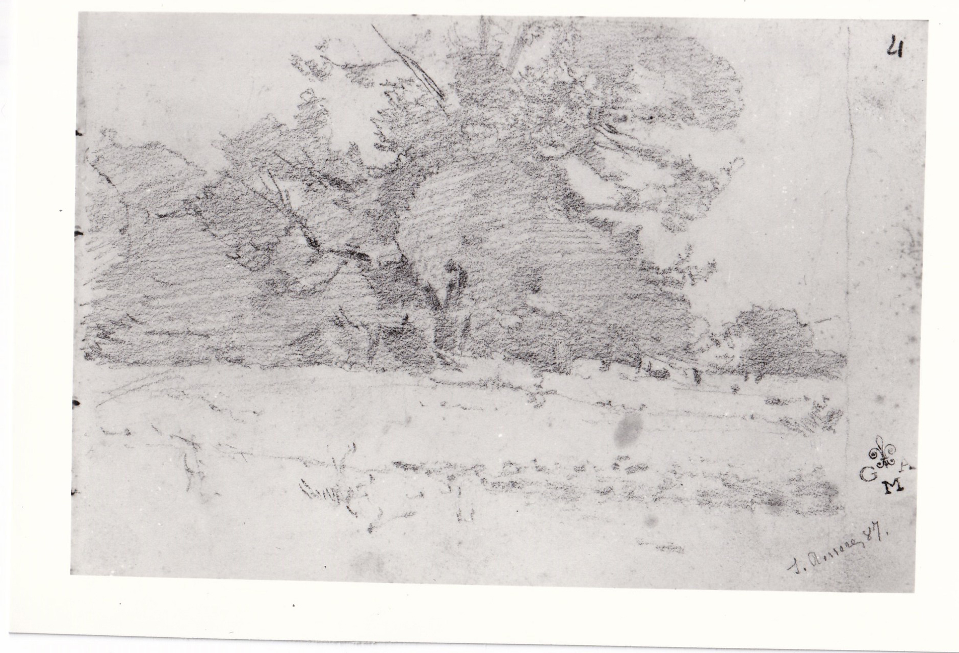 Scorcio della tenuta di S. Rossore, veduta (disegno) di Borrani Odoardo (sec. XIX)