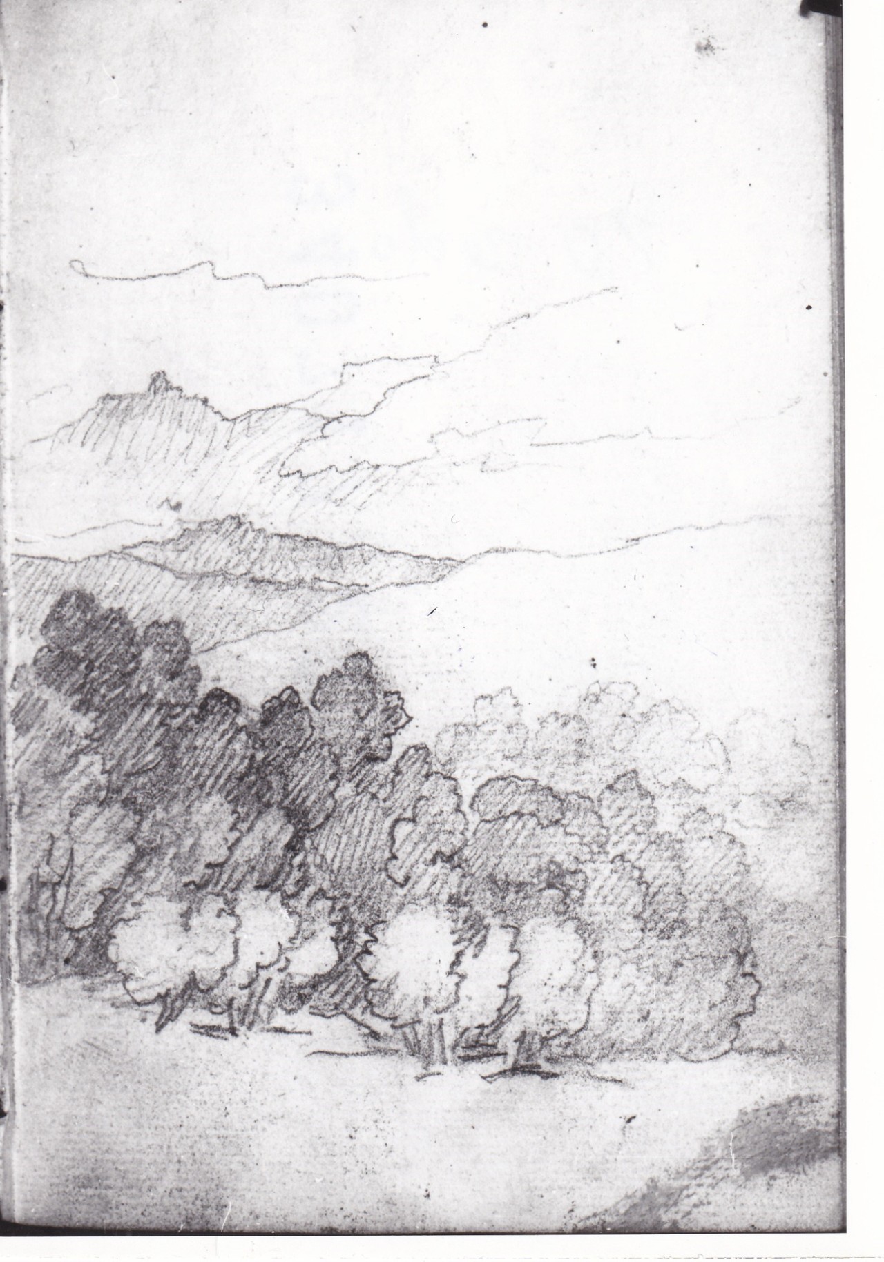 Paesaggio montuoso, Paesaggio con grande albero frondoso (disegno) di Bezzuoli Giuseppe (sec. XIX)